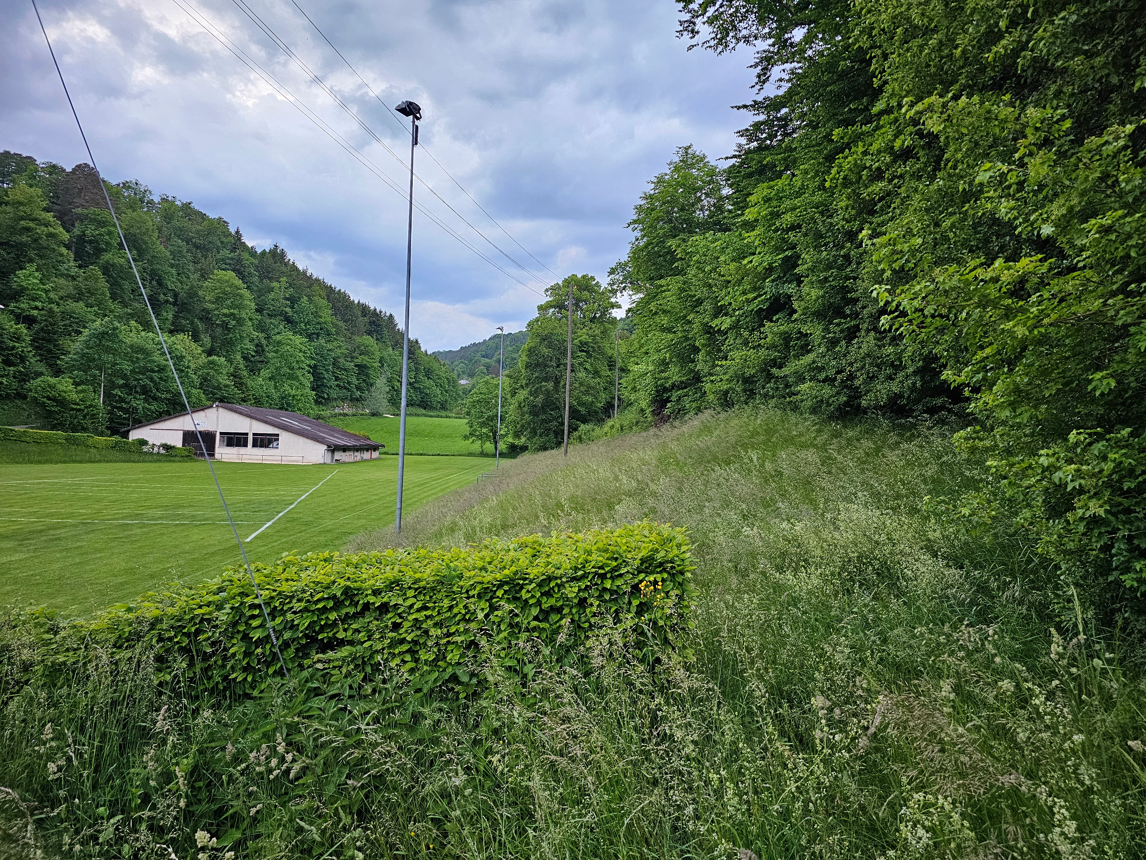 Lui - Seemättliweg, Liesberg