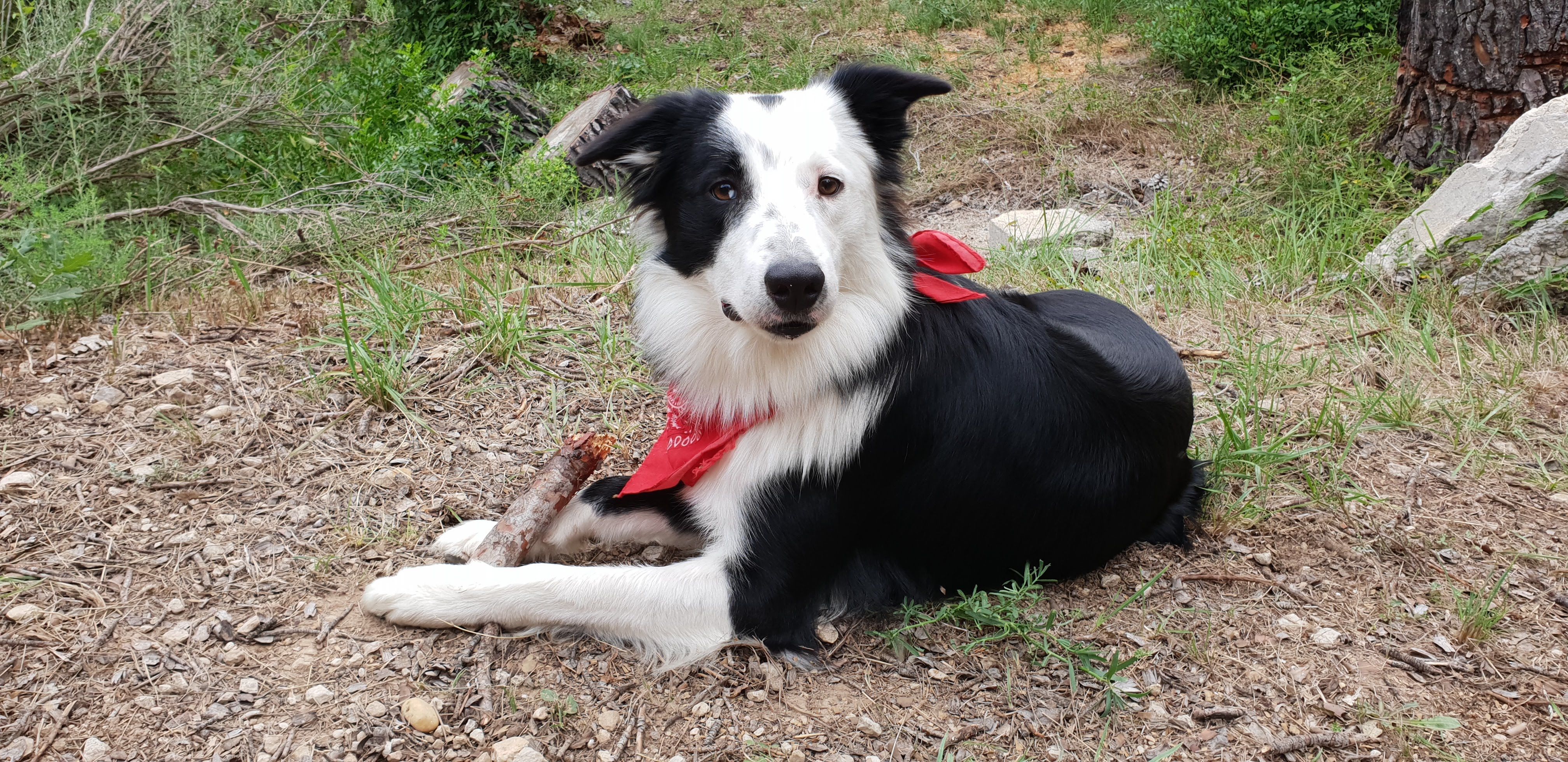 Falko - 14 Rue de l'Égalité, Grazac