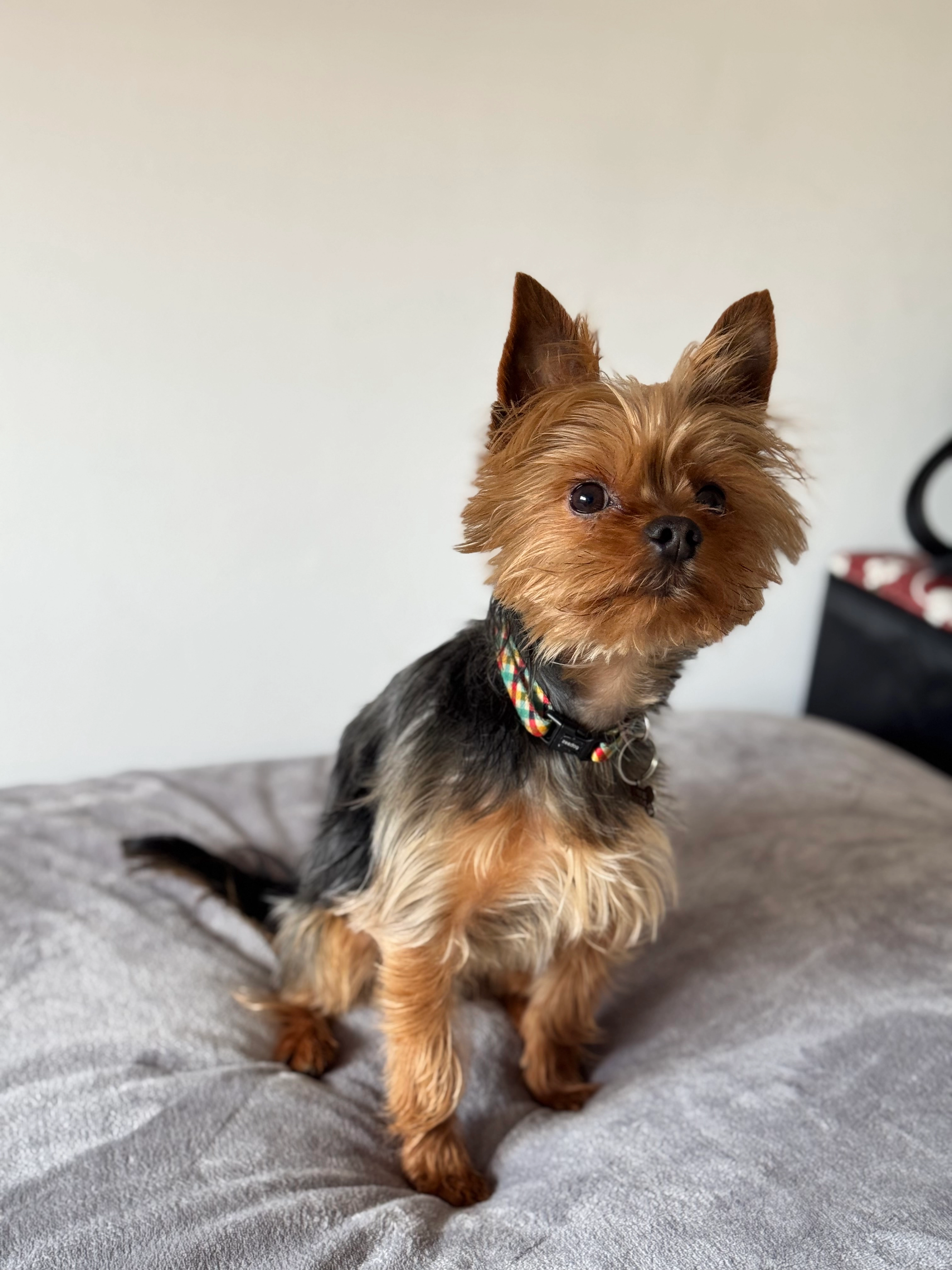 Denver  - Calle de Pedro Laborde 59, Madrid