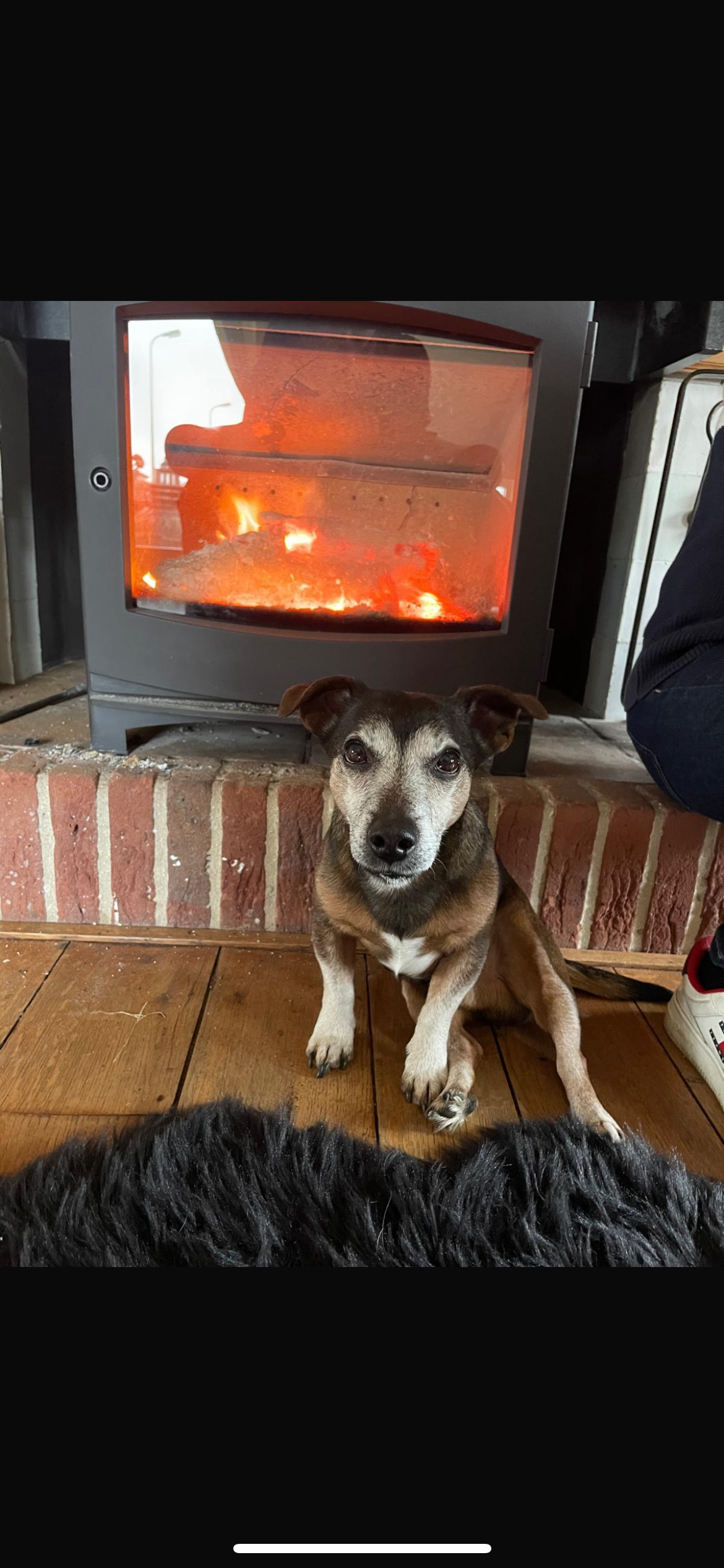 Jacky - Hoogesteeg, Bathmen