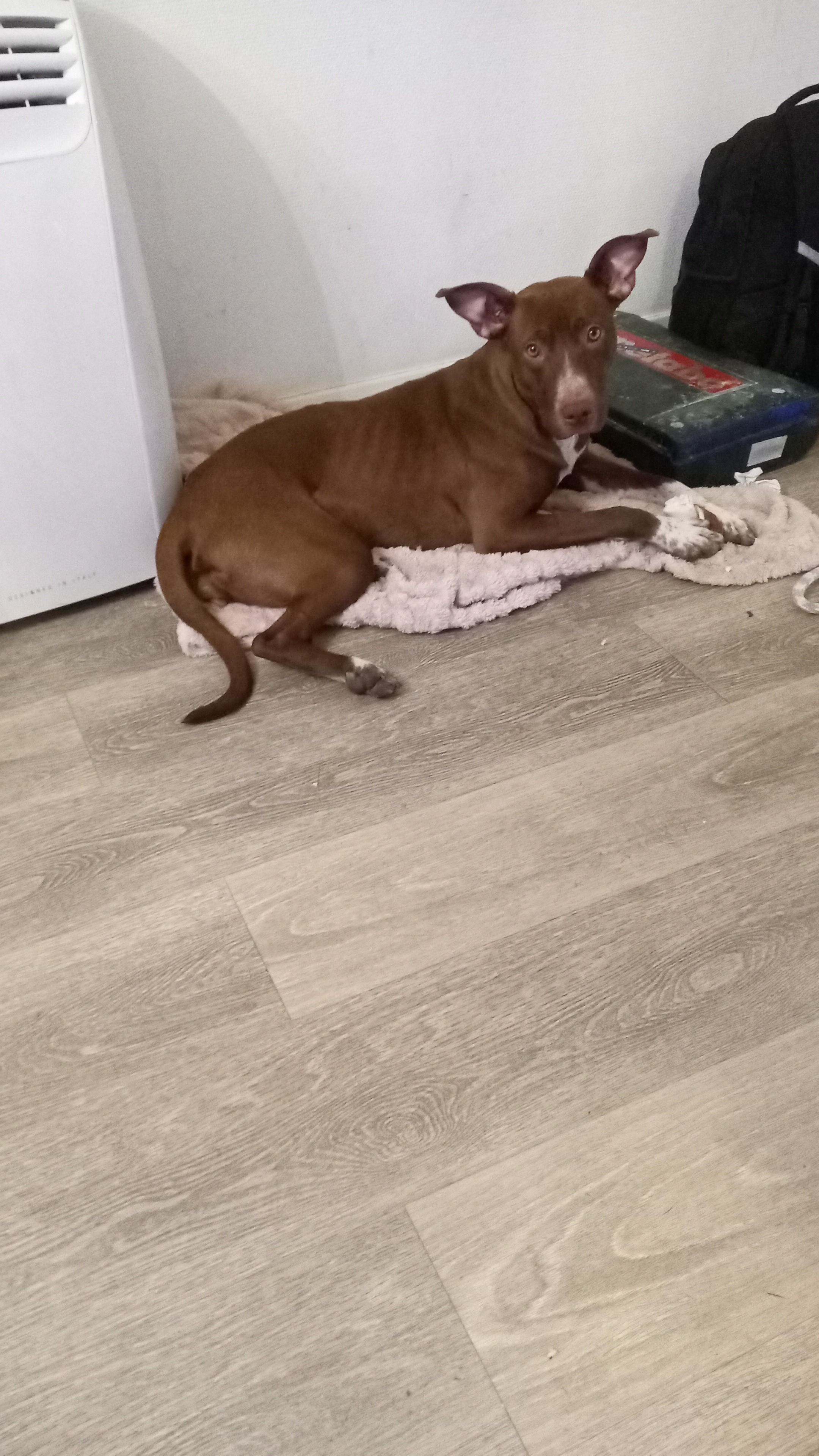 Grace  - Utrechtseweg, IJsselstein