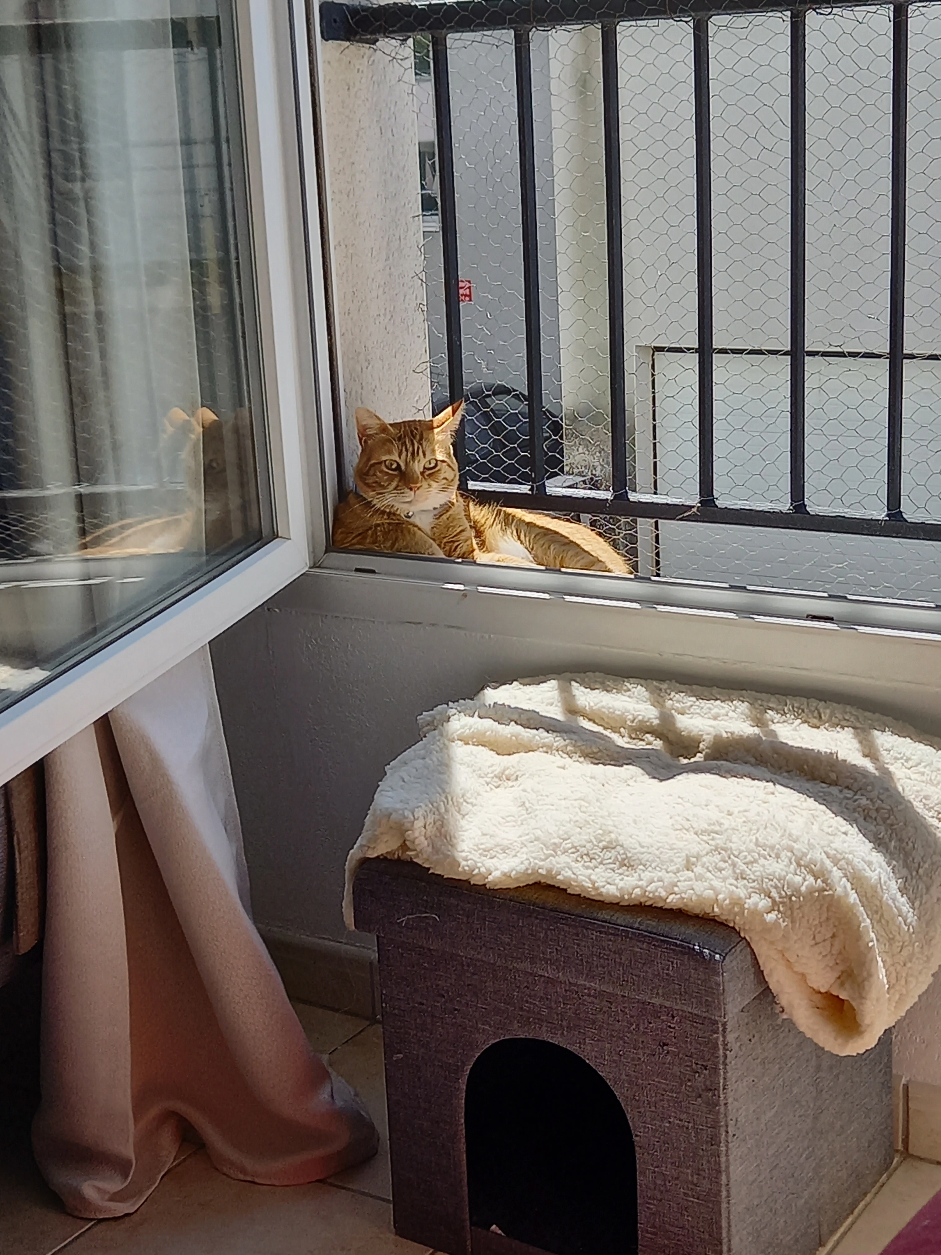 Garfield  - Rue du Parc, Saint-Brieuc