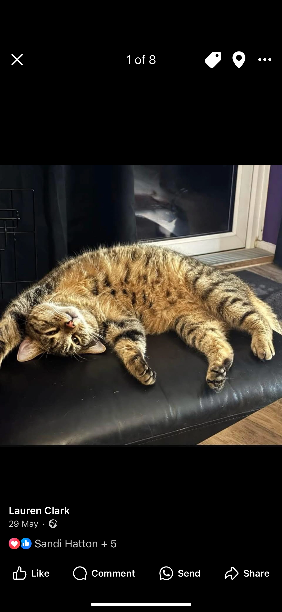 Hades aka fat kiki - Coney Green, Winchester