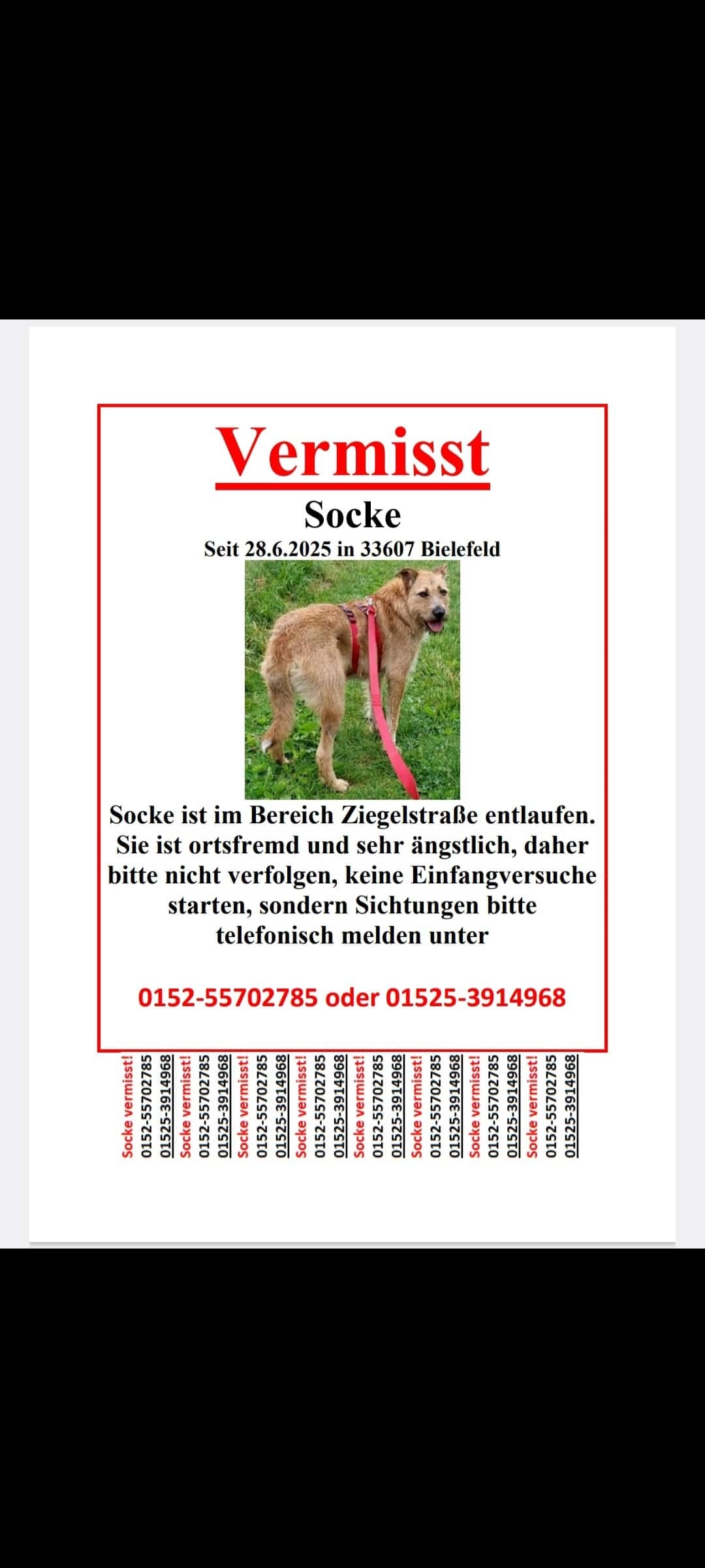 Socke - Herforder Straße, Bielefeld