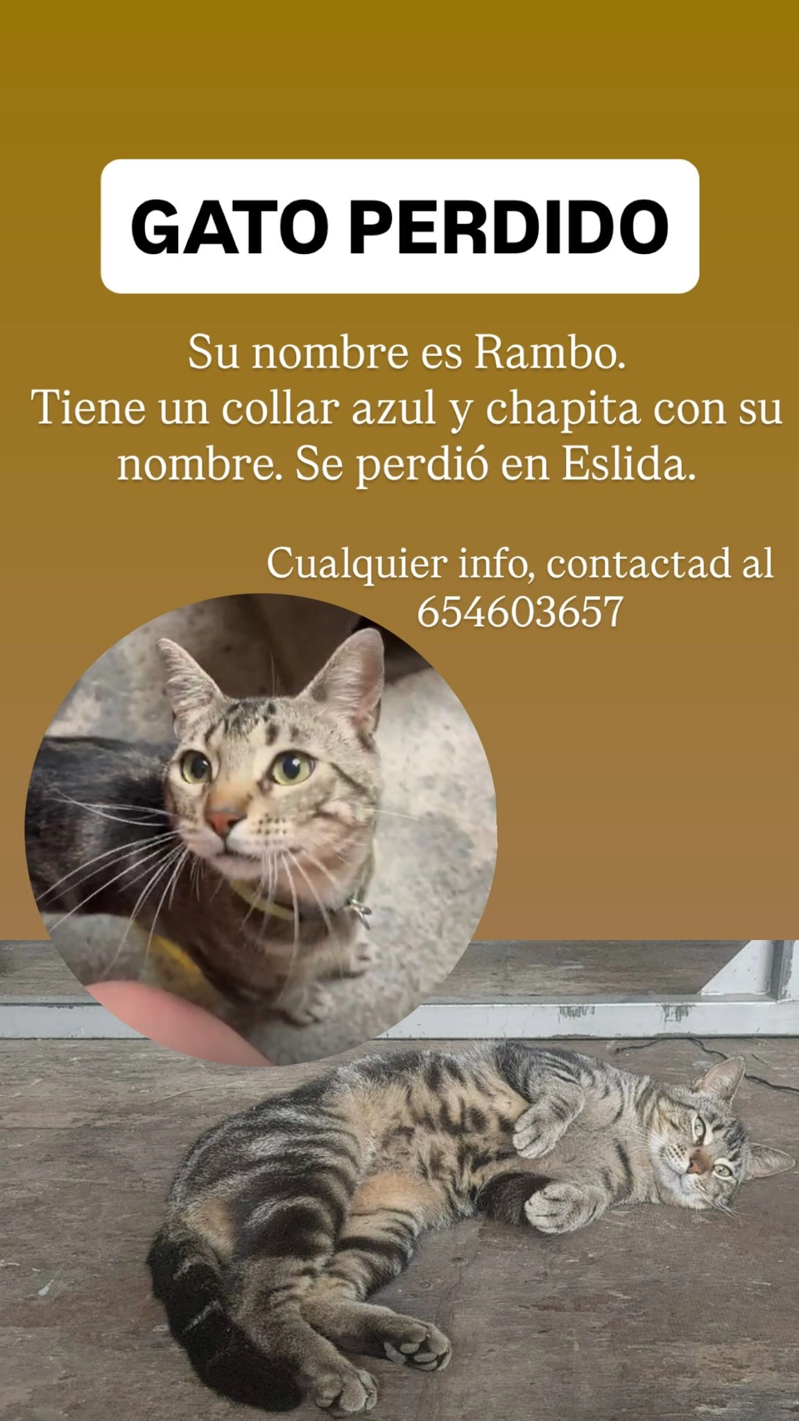 Rambo - Calle de Camí Fons 14, Eslida