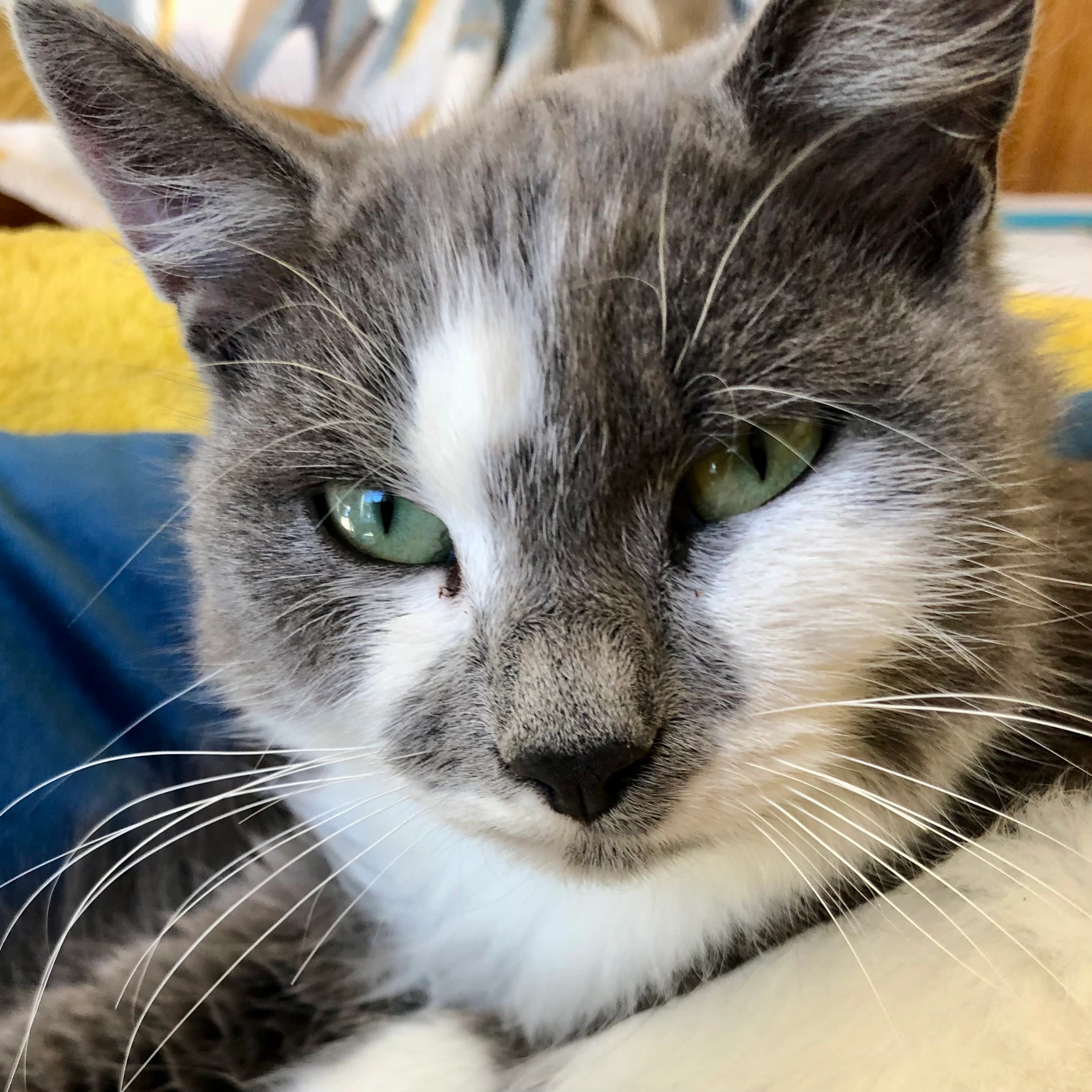 Tara - 22 Rue d'Enfer, Esmans