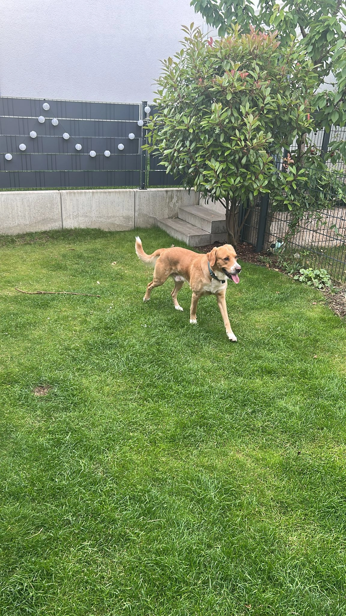 Joshi  - Haus Gravener Straße 208, Langenfeld