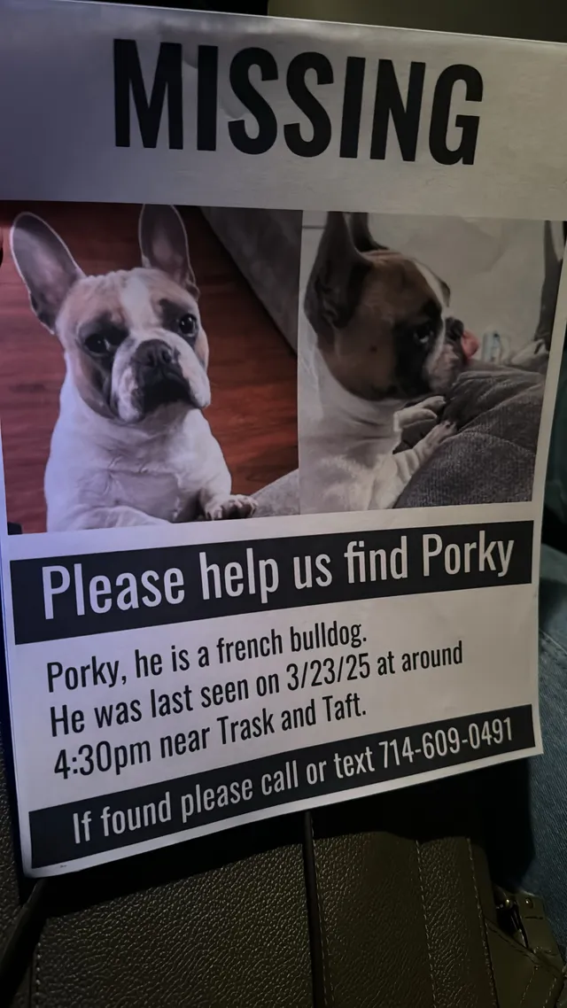Porky - Trask Ave, Garden Grove