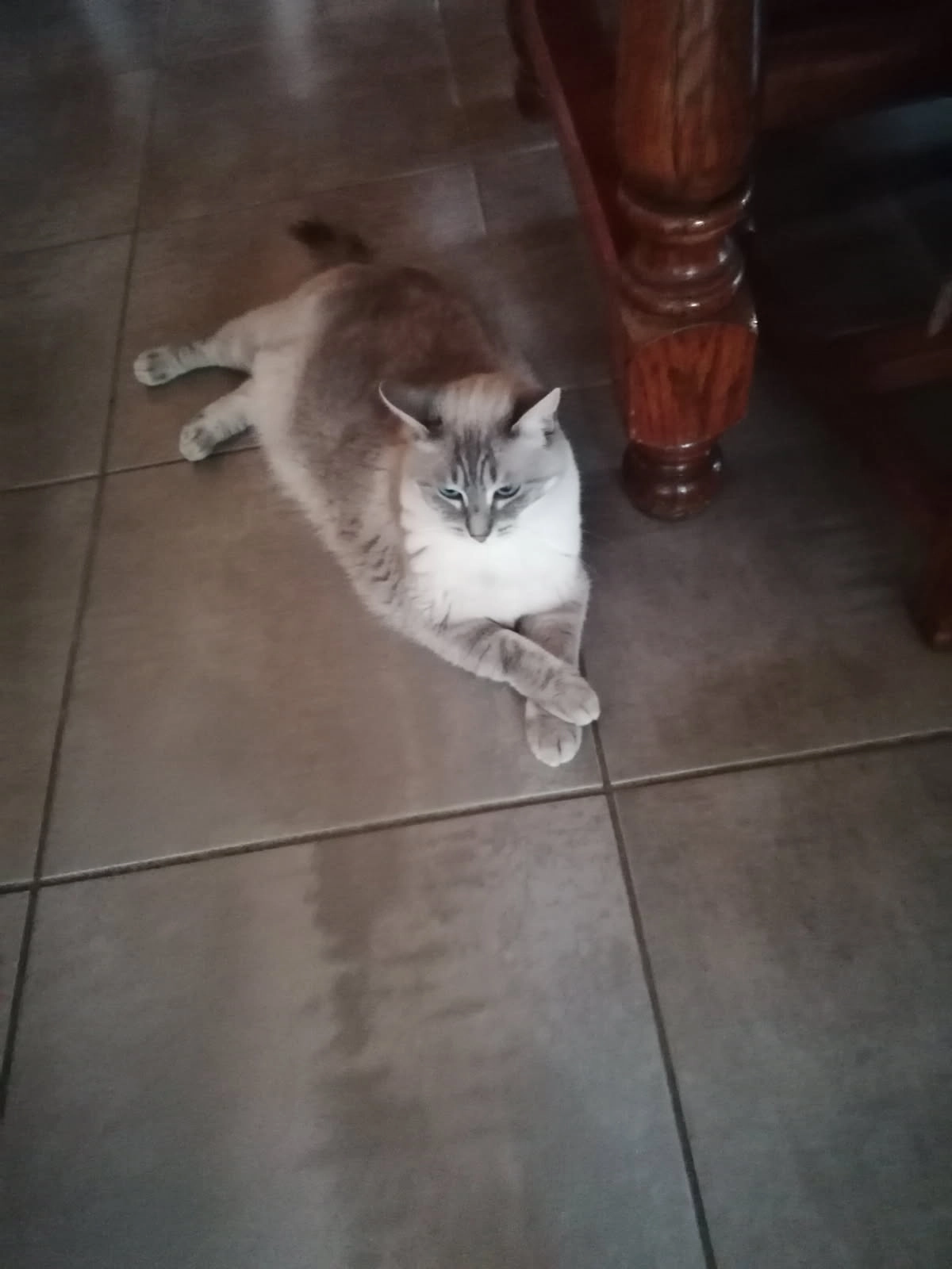 Fifille - Route Douanière, Saint-Louis