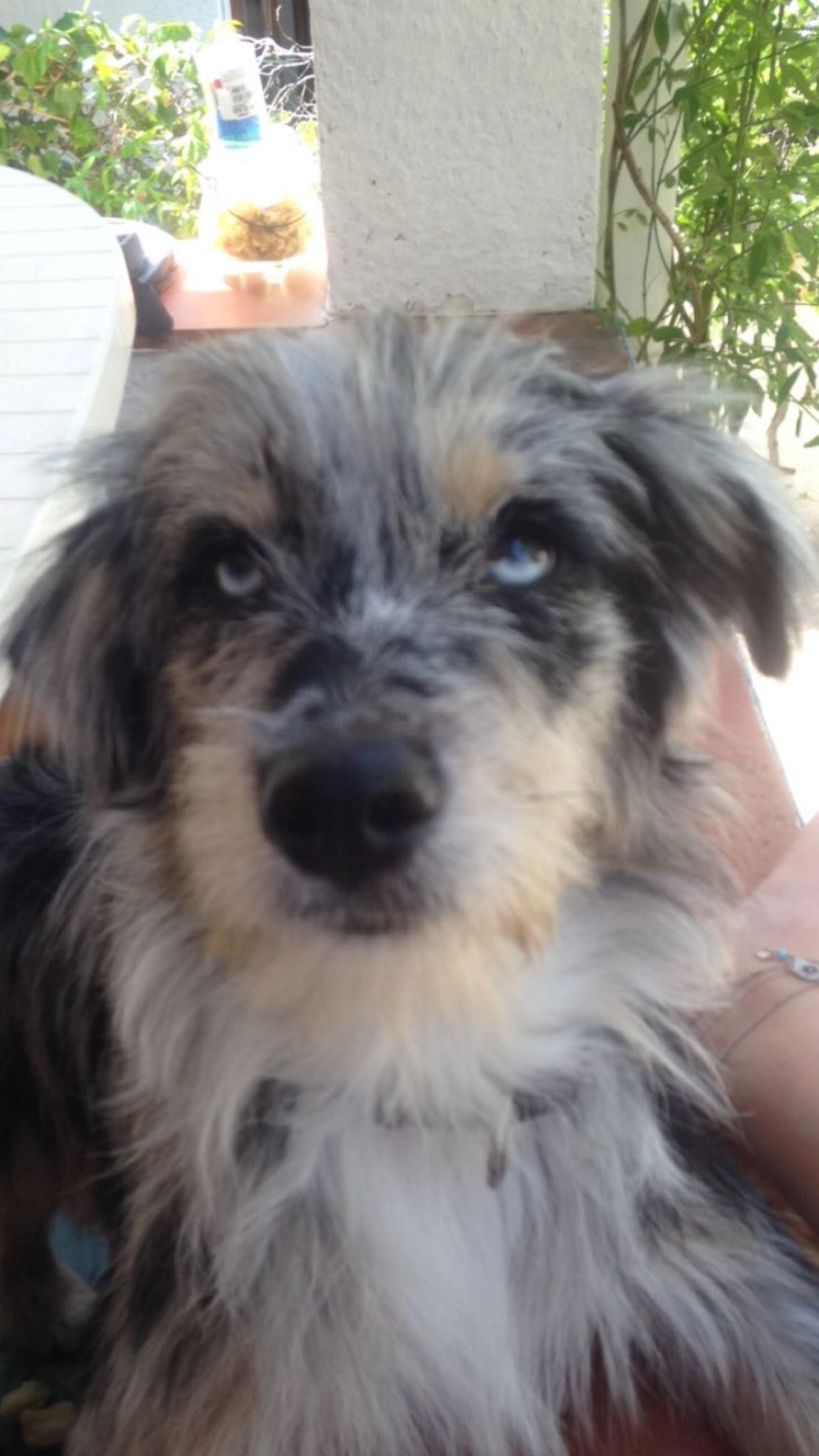 Malou - 31360, Saint-Martory