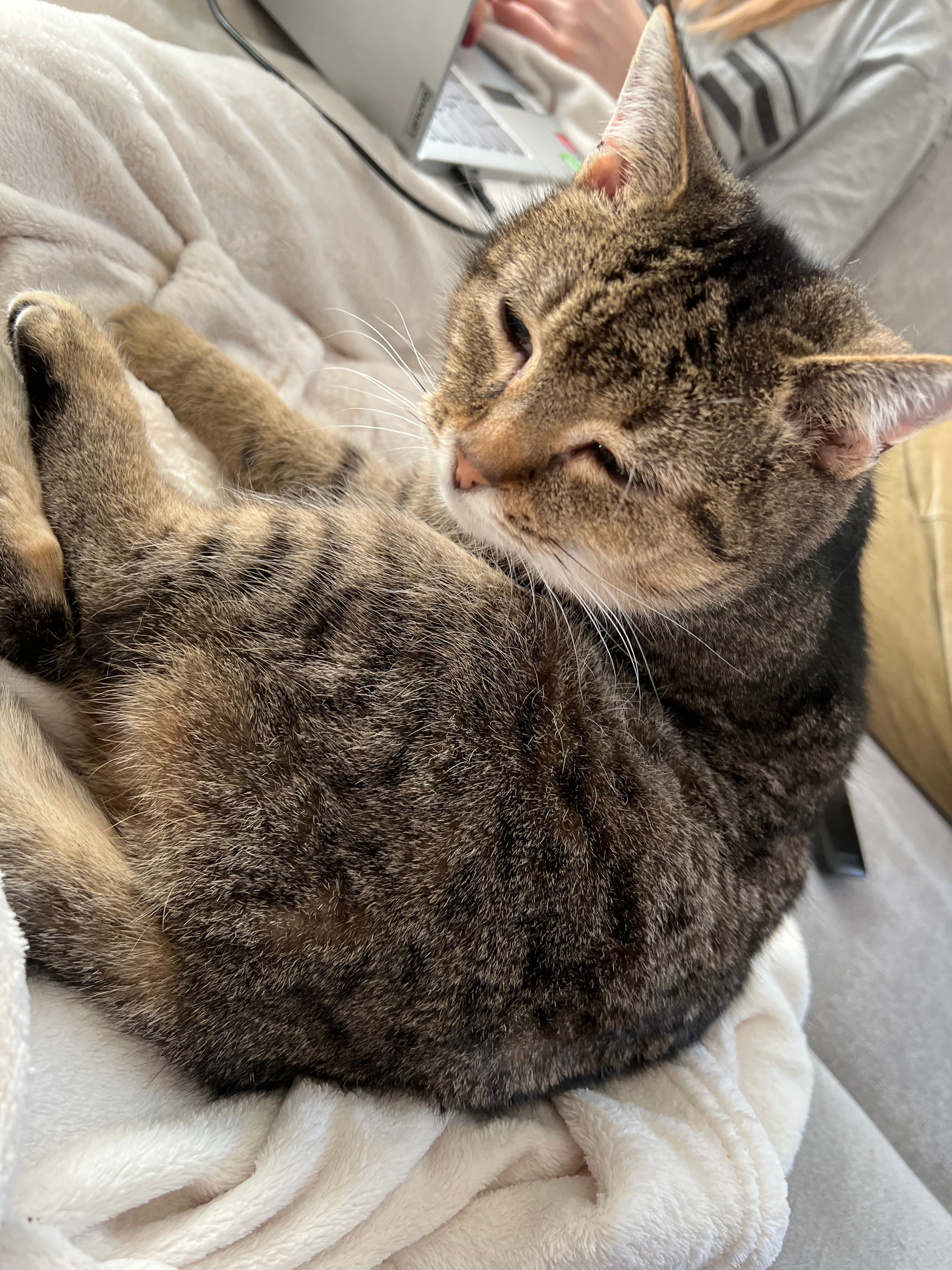 Uschi - Mainstraße, Margetshöchheim