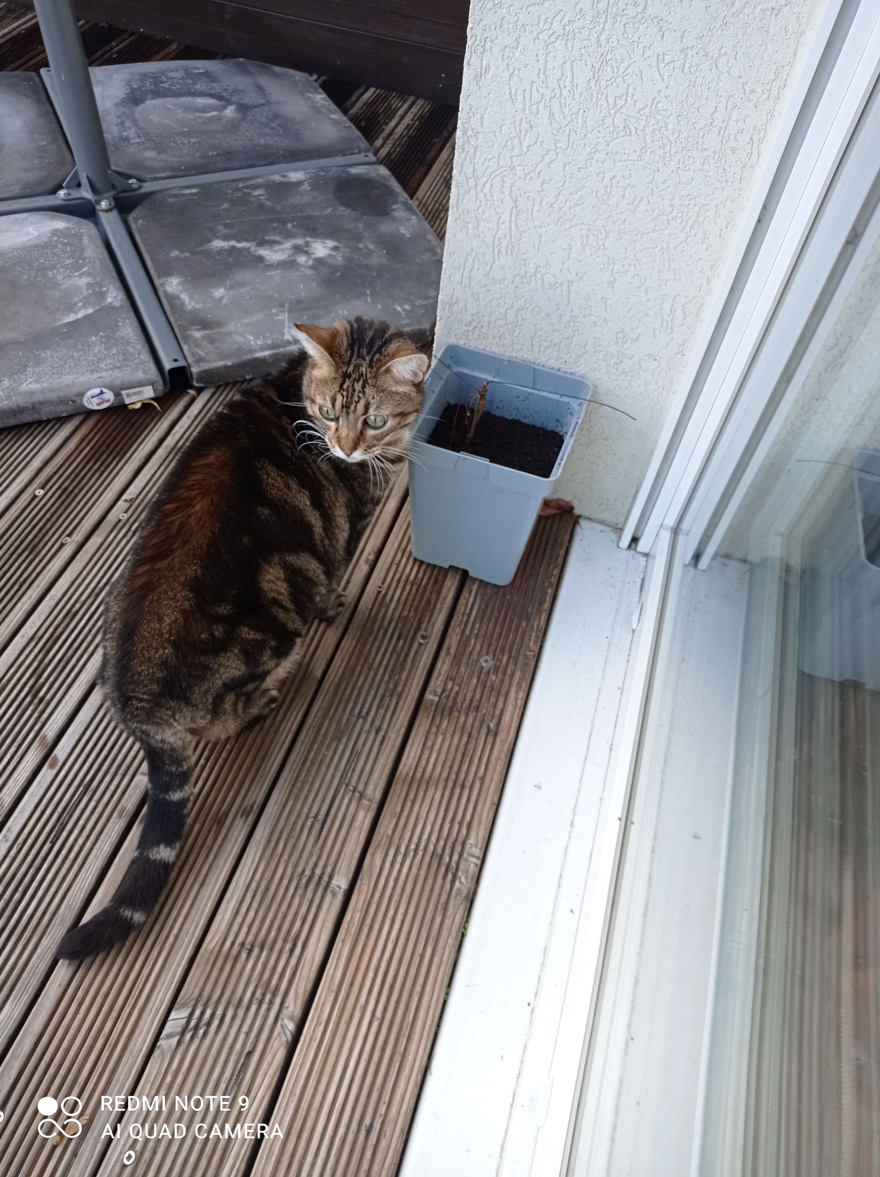 Jeanbi - Rue Pizard Theurey, Vesoul