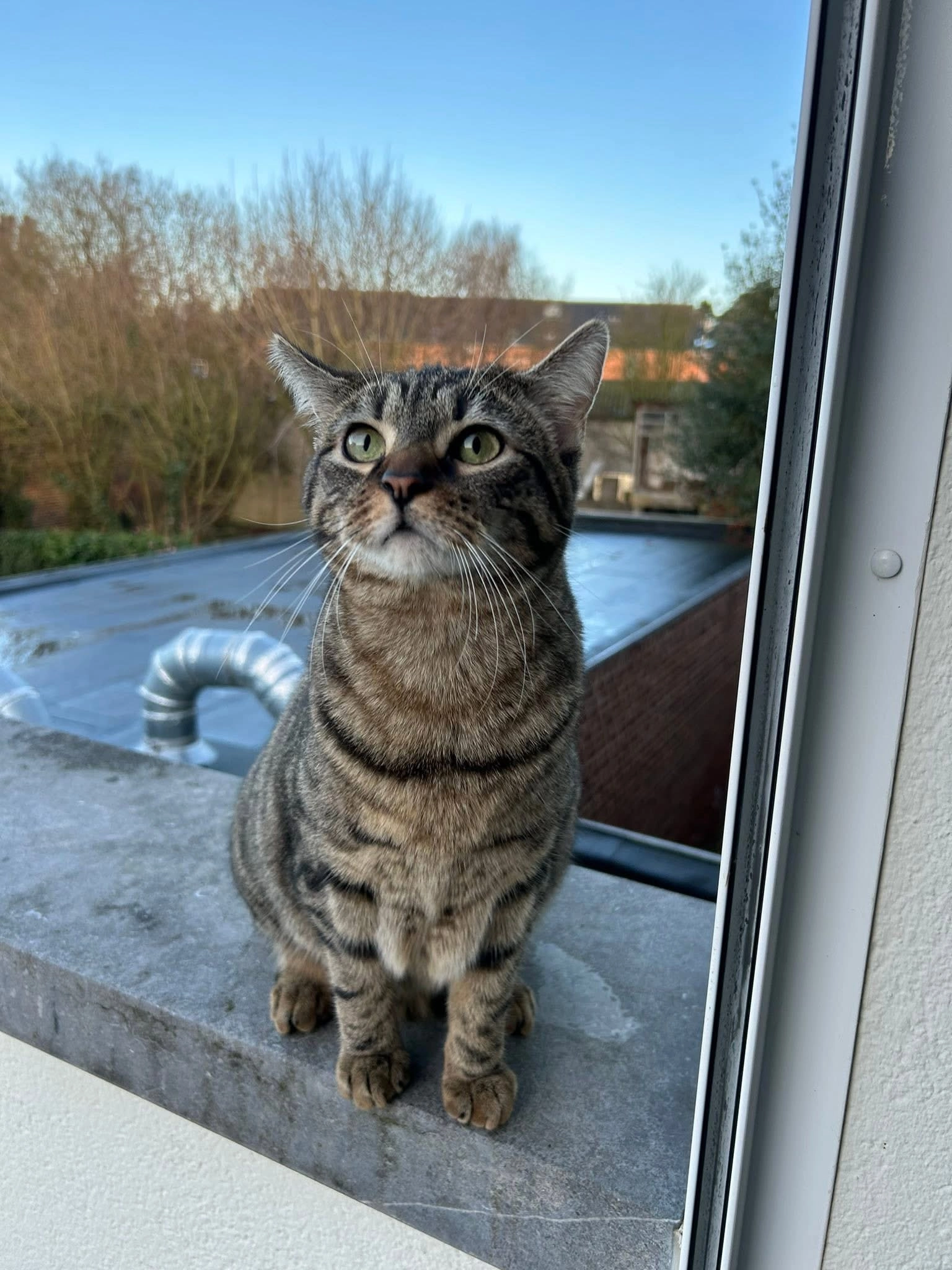 Lilo  - Avenue Maurice Delmotte 56, Remicourt