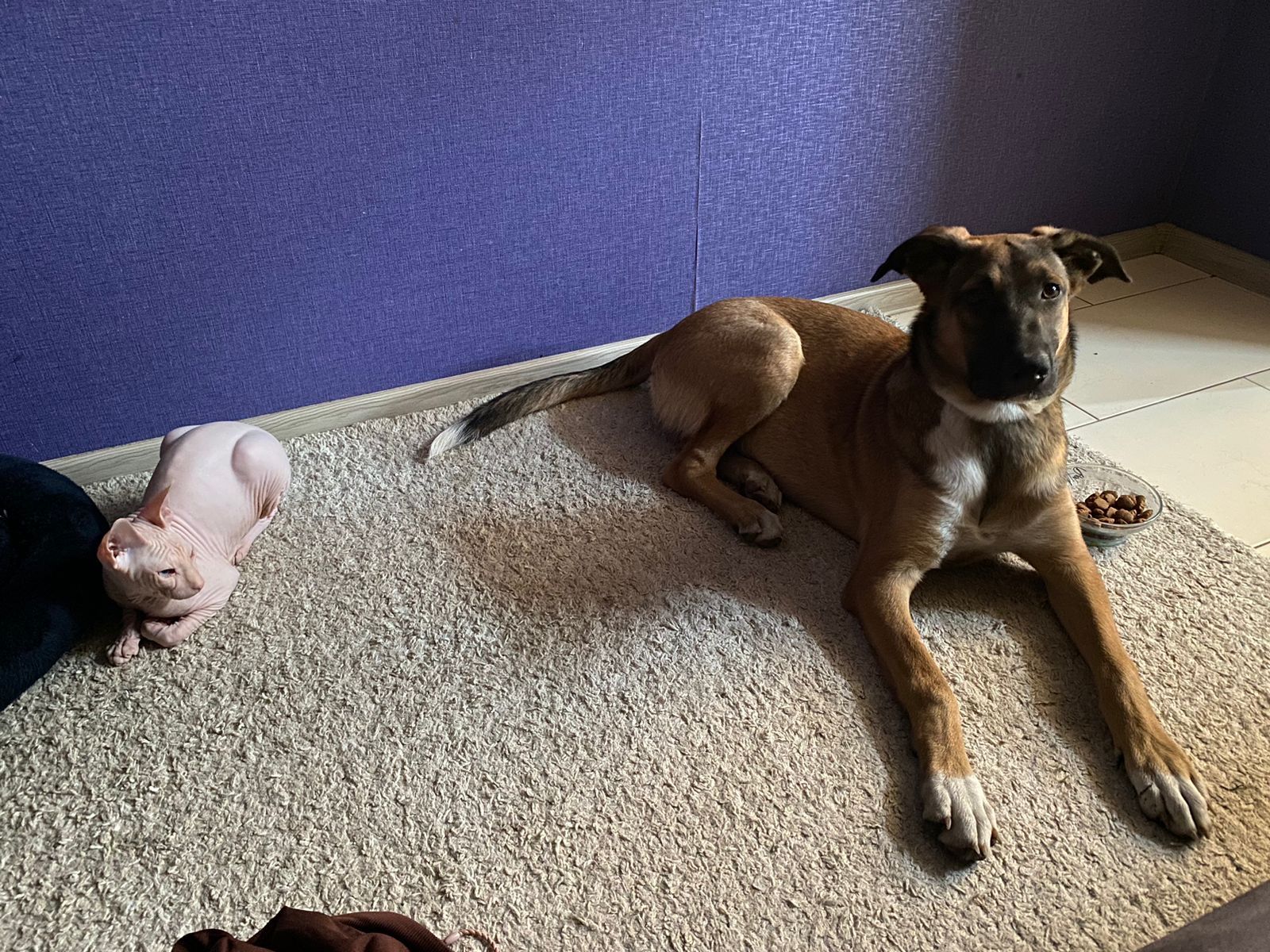 Xena - Вулиця Академіка Павлова, Kharkiv