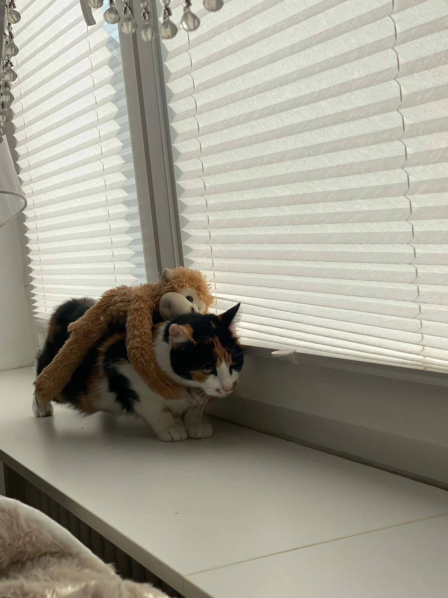 Fufu - Büsackerstraße, Duisburg