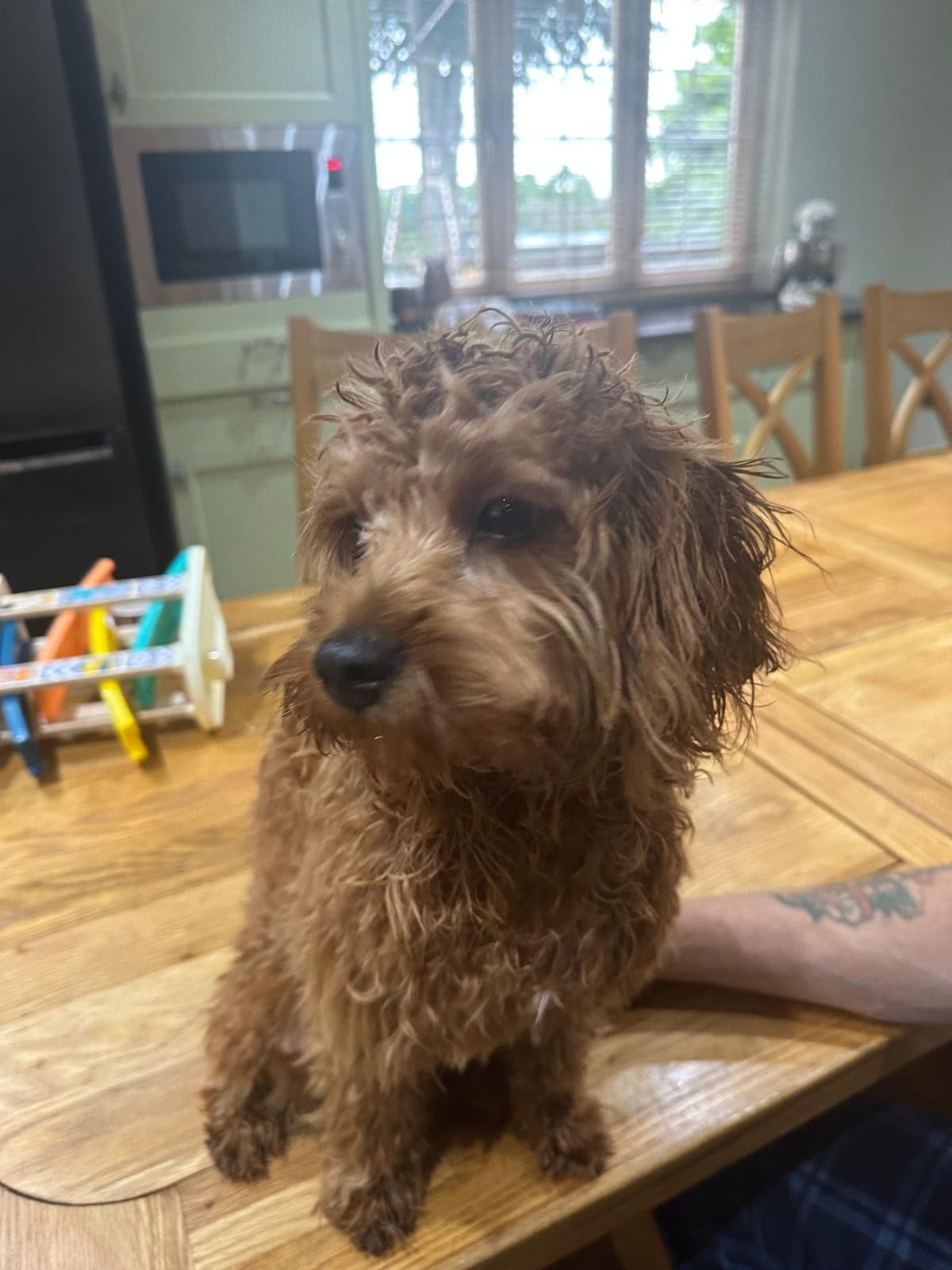 Otto - Waterside Walk West, Newport