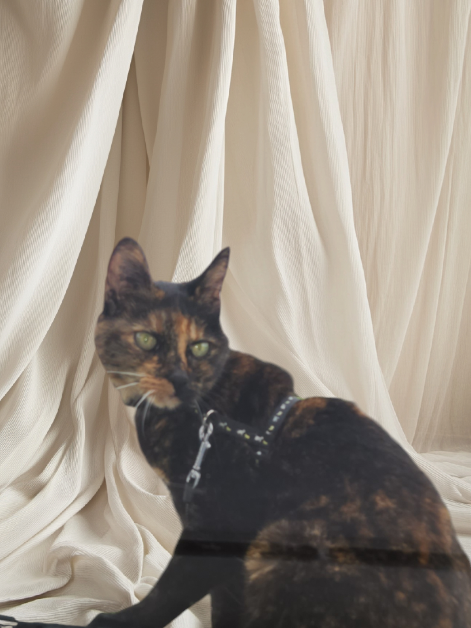 Vénus  - Rue Pierre Semard, Riorges