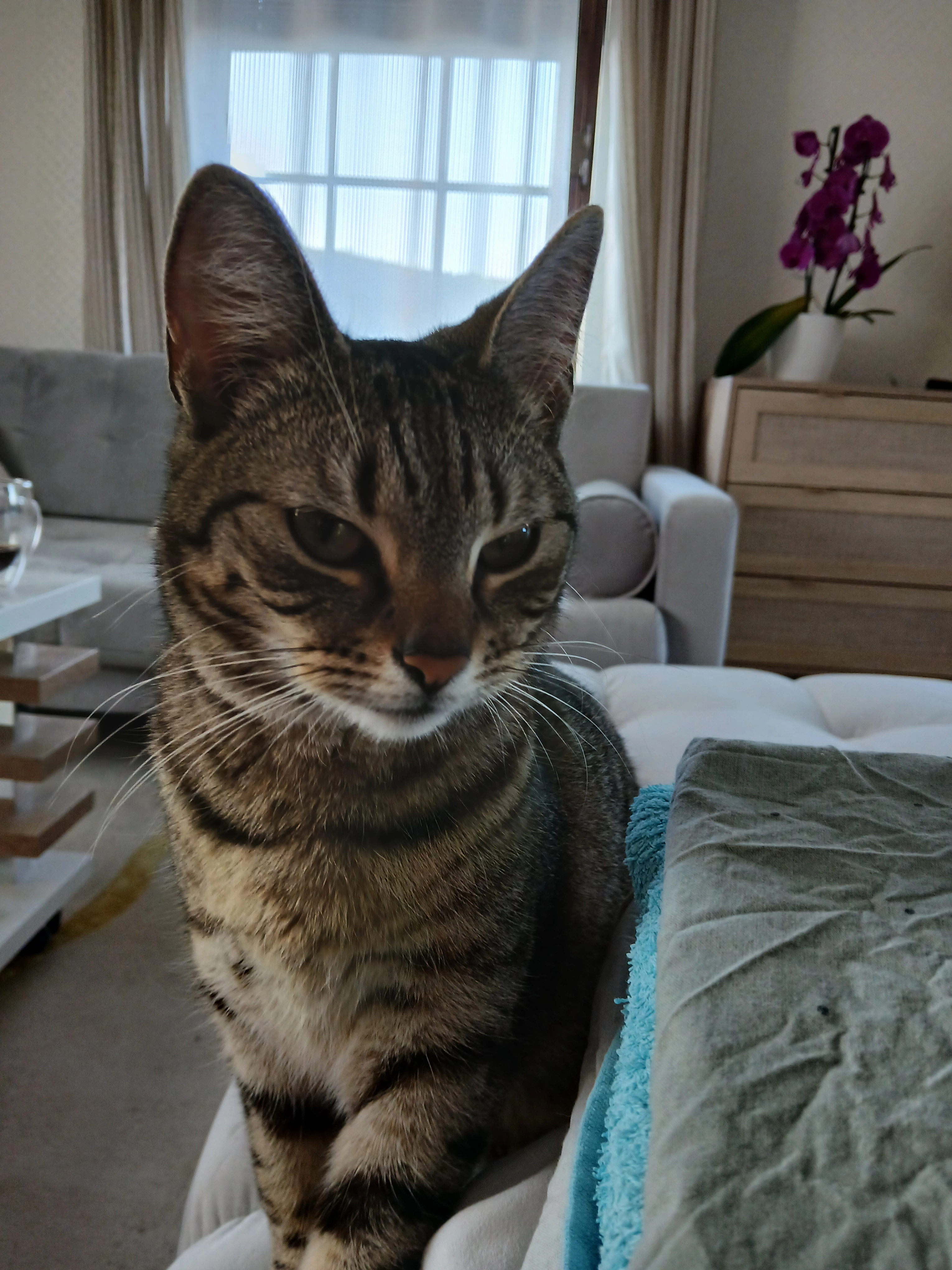 Aloha - Rammer Weg, Ruhner Berge