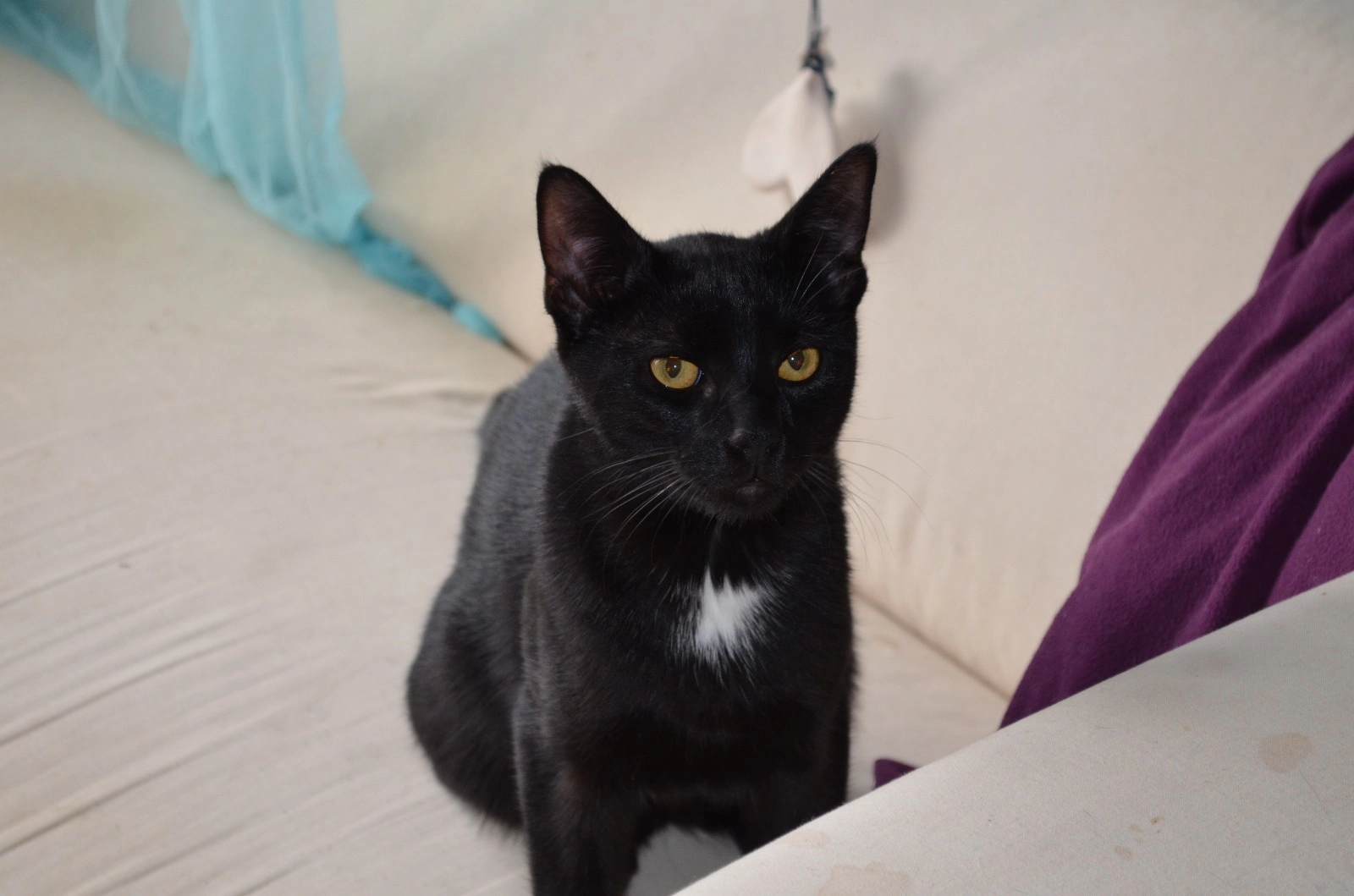 Paut - Südring, Herxheim bei Landau/Pfalz