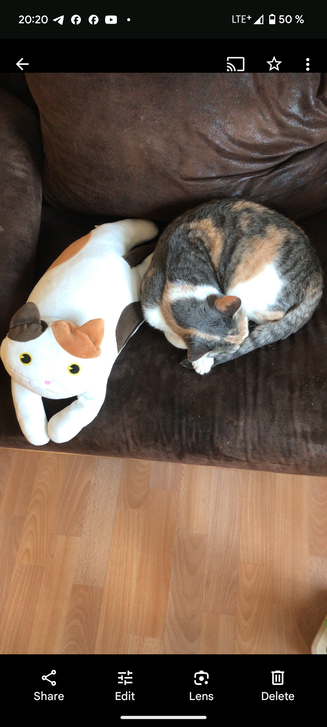 Eva - Karlstraße 30, Cottbus