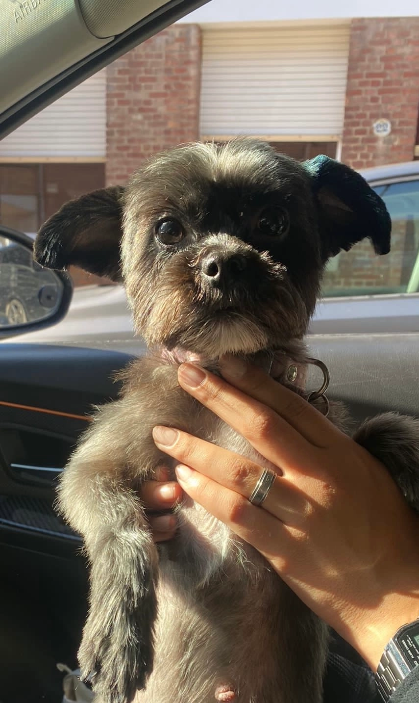 Nina - Avenue des Tilleuls 29, Braine-le-Comte