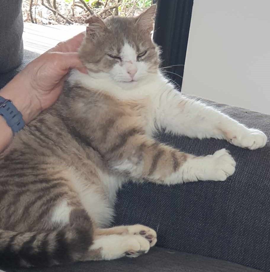 TOM - D 19, Lorlanges