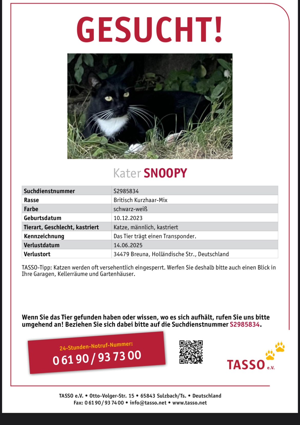 Snoopy - Holländische Straße, Breuna