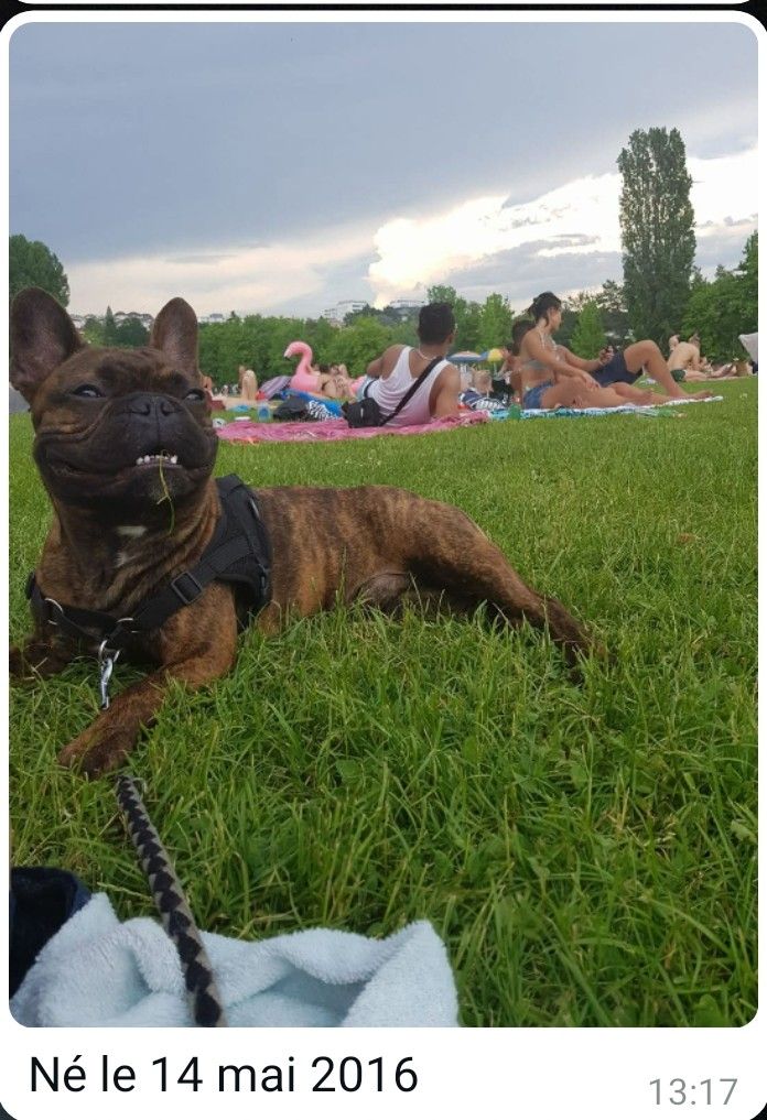 Marvel - Route De Bière, Apples