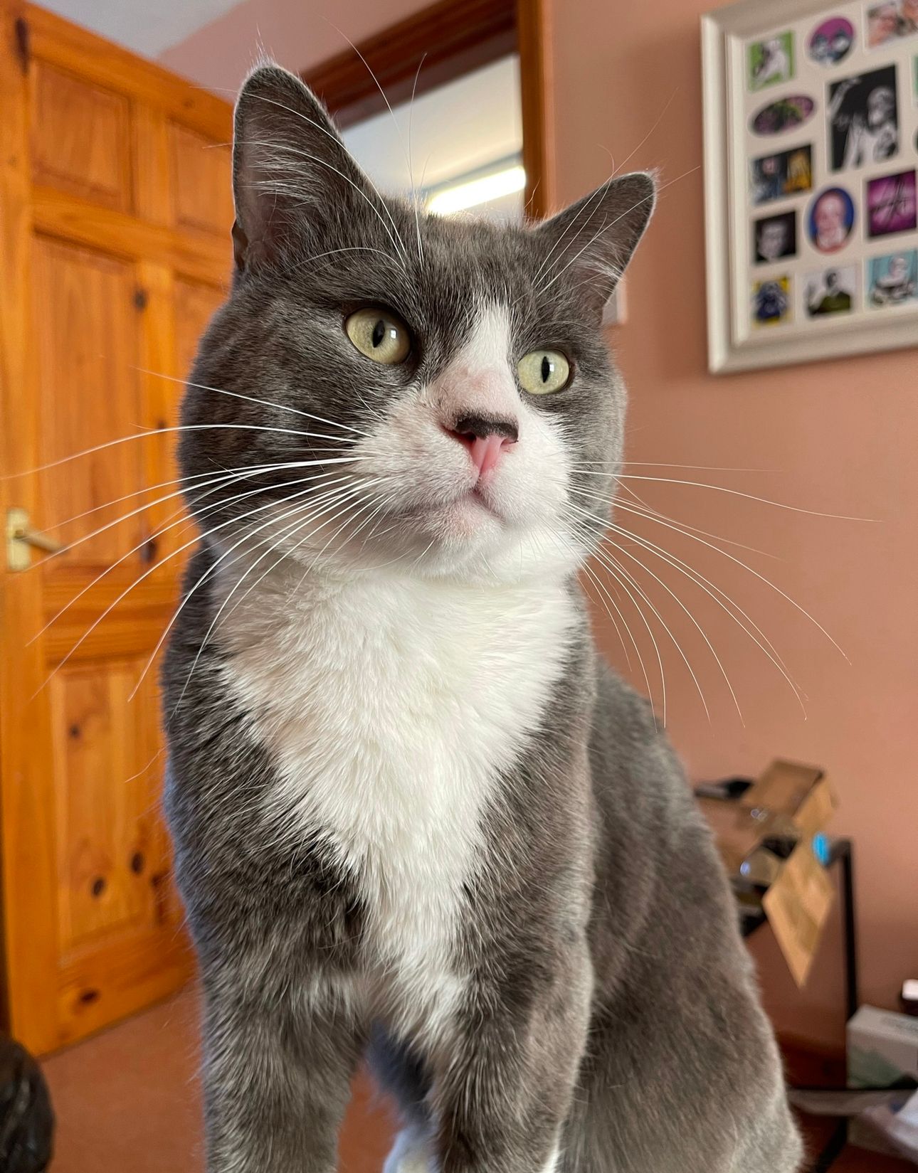 Smithy - Main Street, Hull