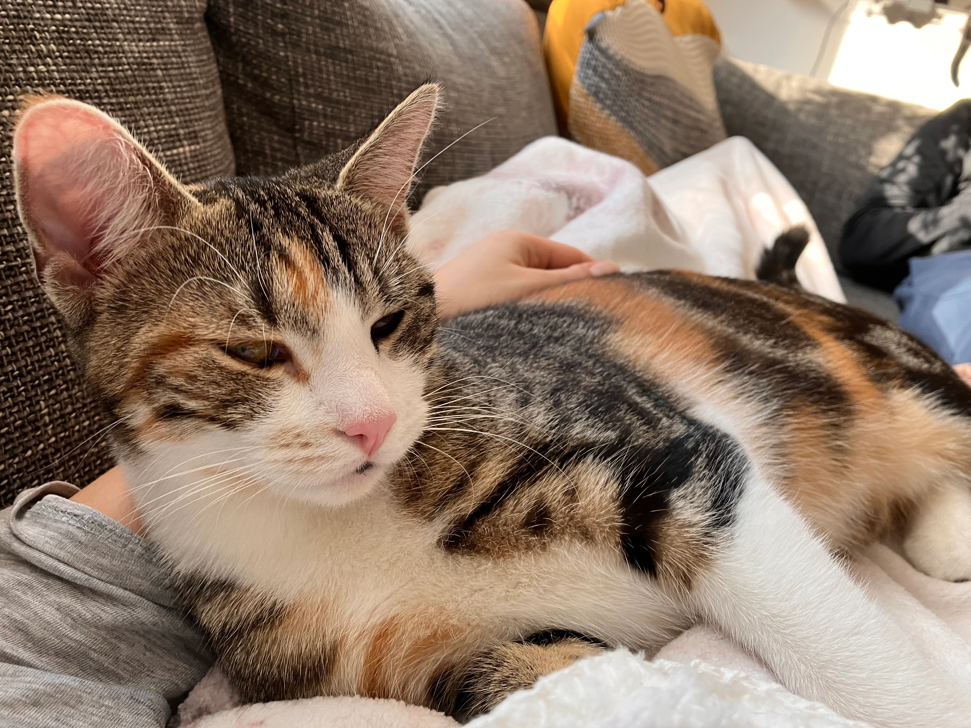 Emmy - Berliner Straße 55, Spremberg