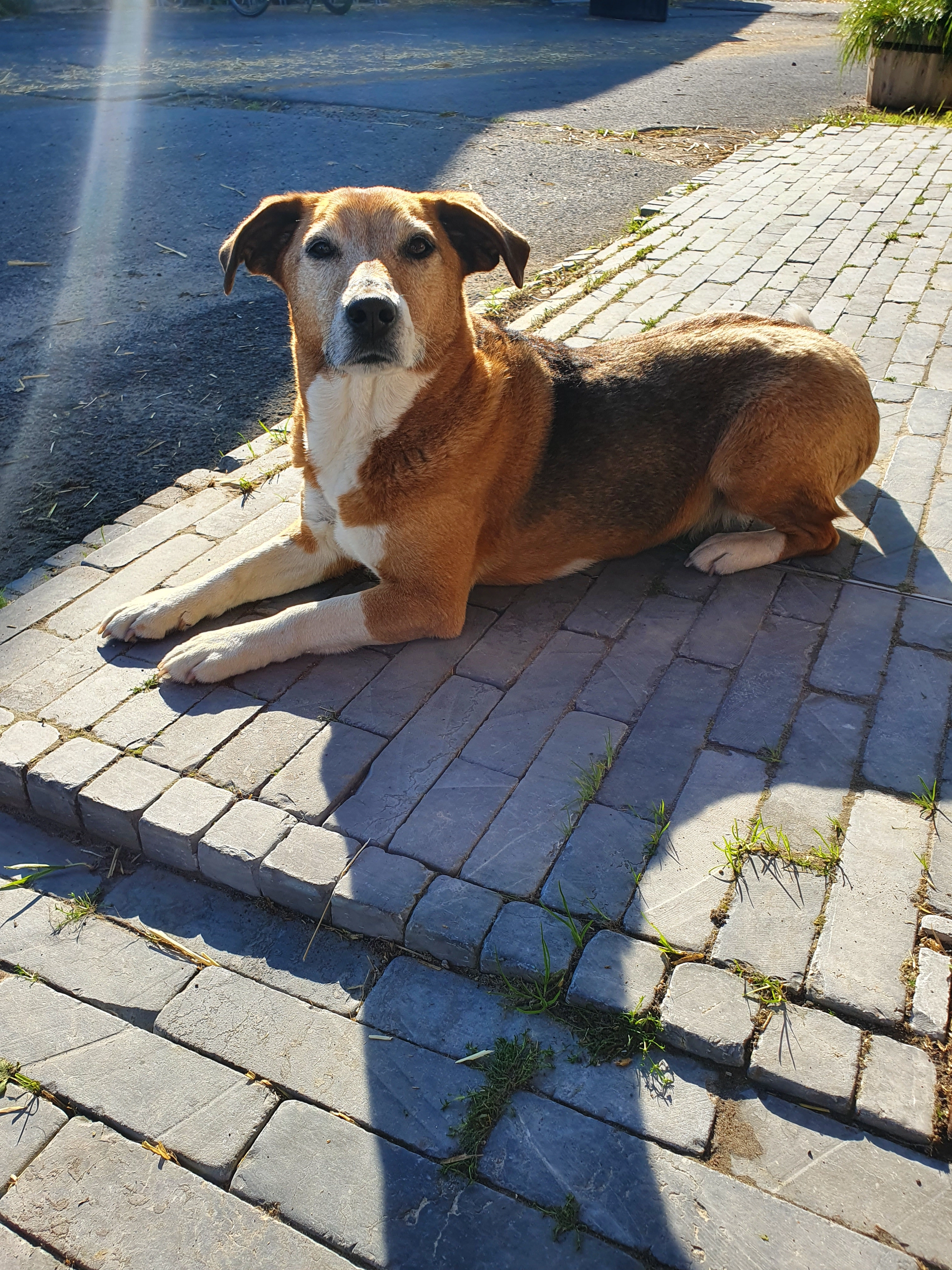 Marie - Blauwe-Zaalhoek 4, Brugge