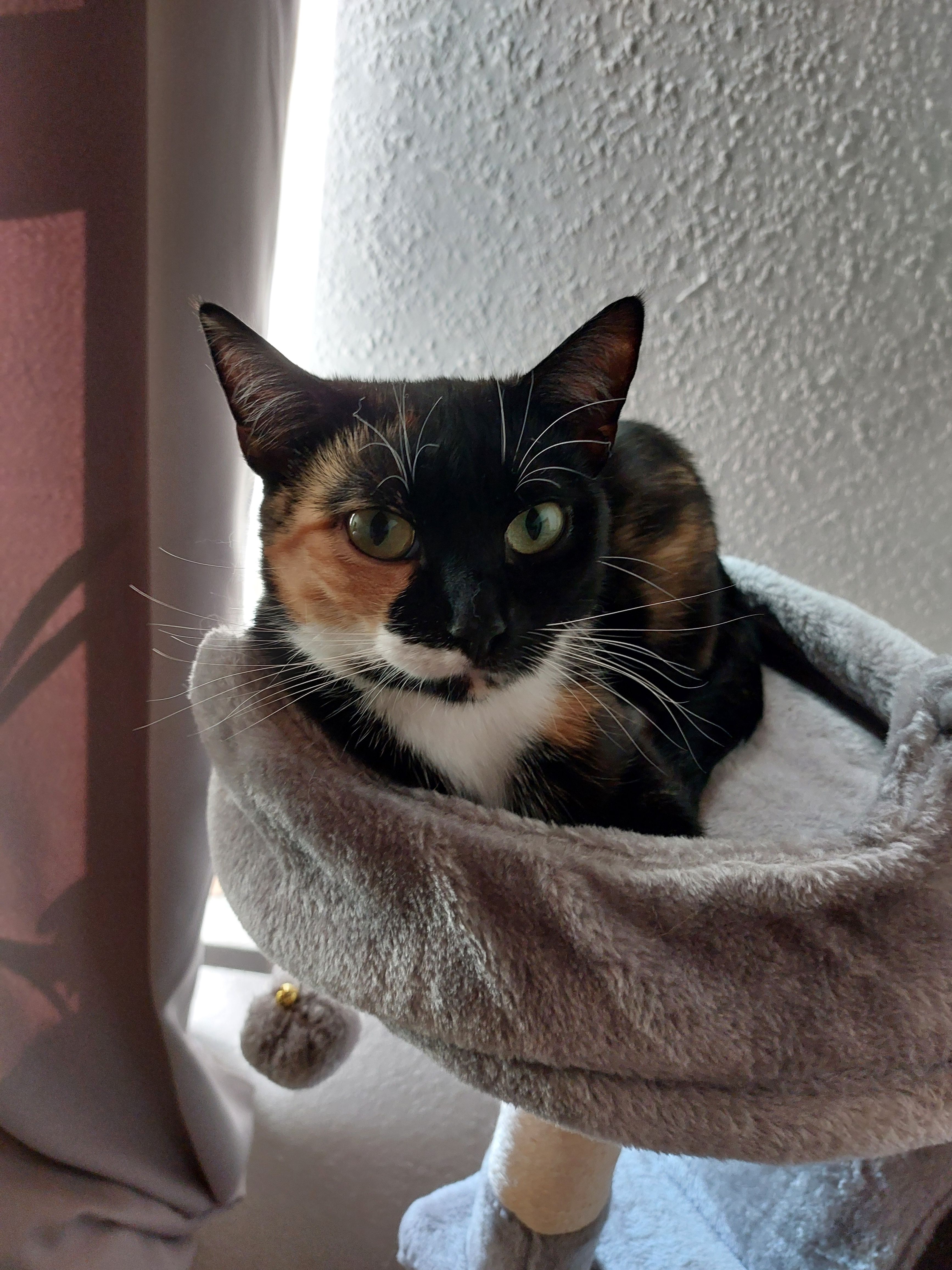 Lotti  - Albert-Kuntz-Straße, Wurzen