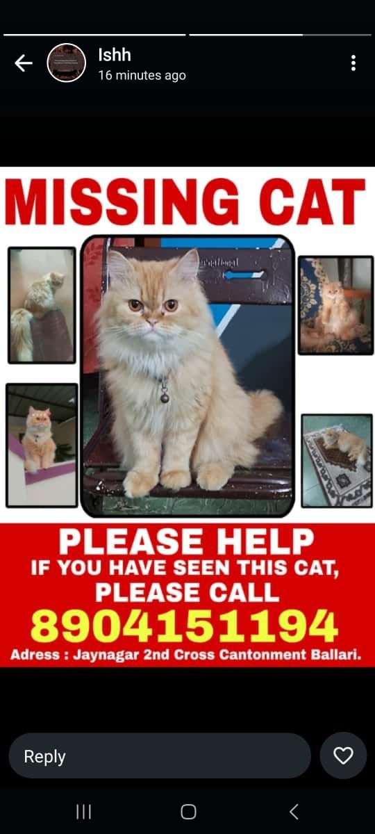 Chotu - Jayanagar 2nd Cross Road cantonment , Bellary