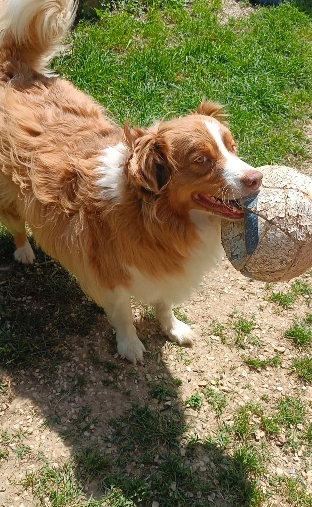 Rouxys - Chemin de Mazin, Contes