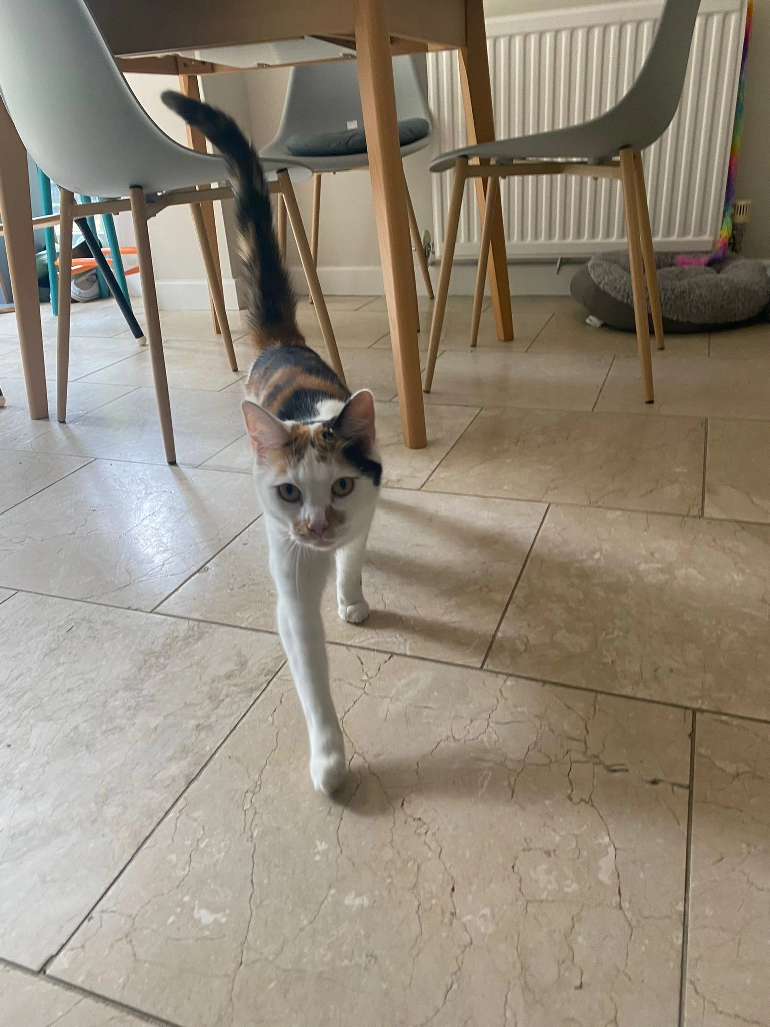 Kiara - Abingdon Road, Abingdon-on-Thames