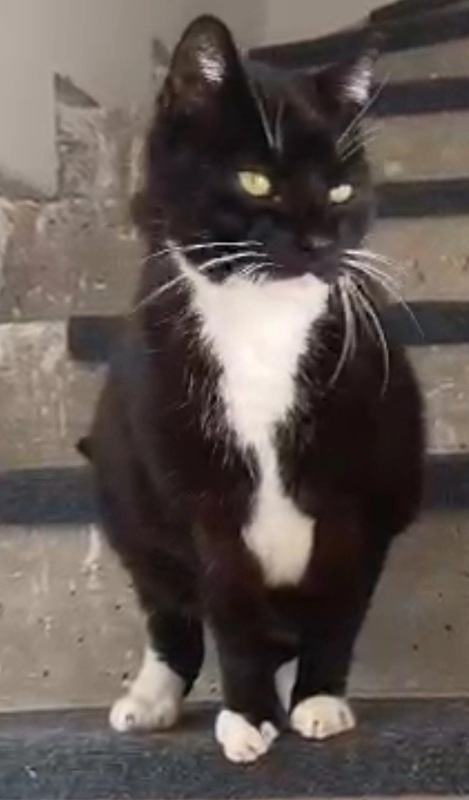 Leo - Varnhagenweg, Lemgo