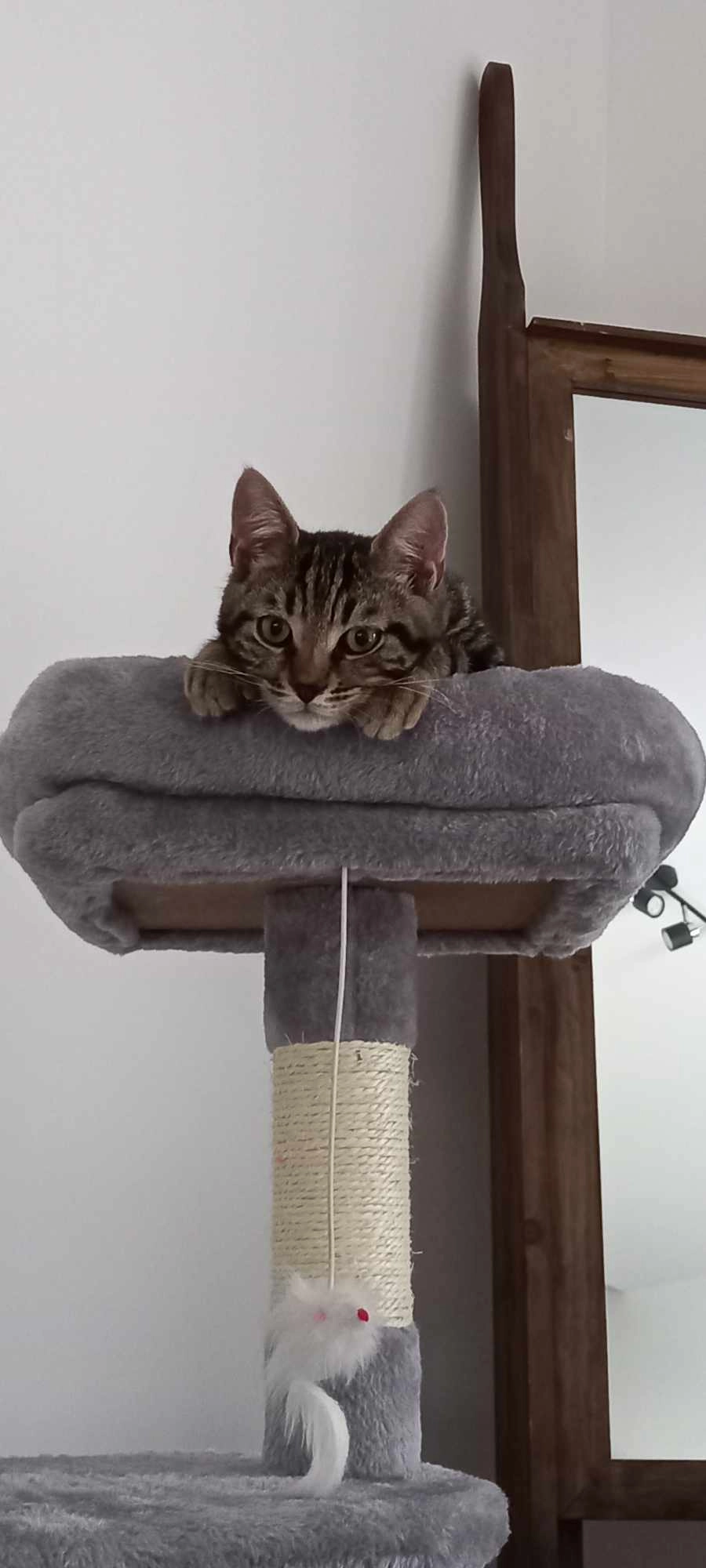 Archi  - Rue des Artistes, Fléron