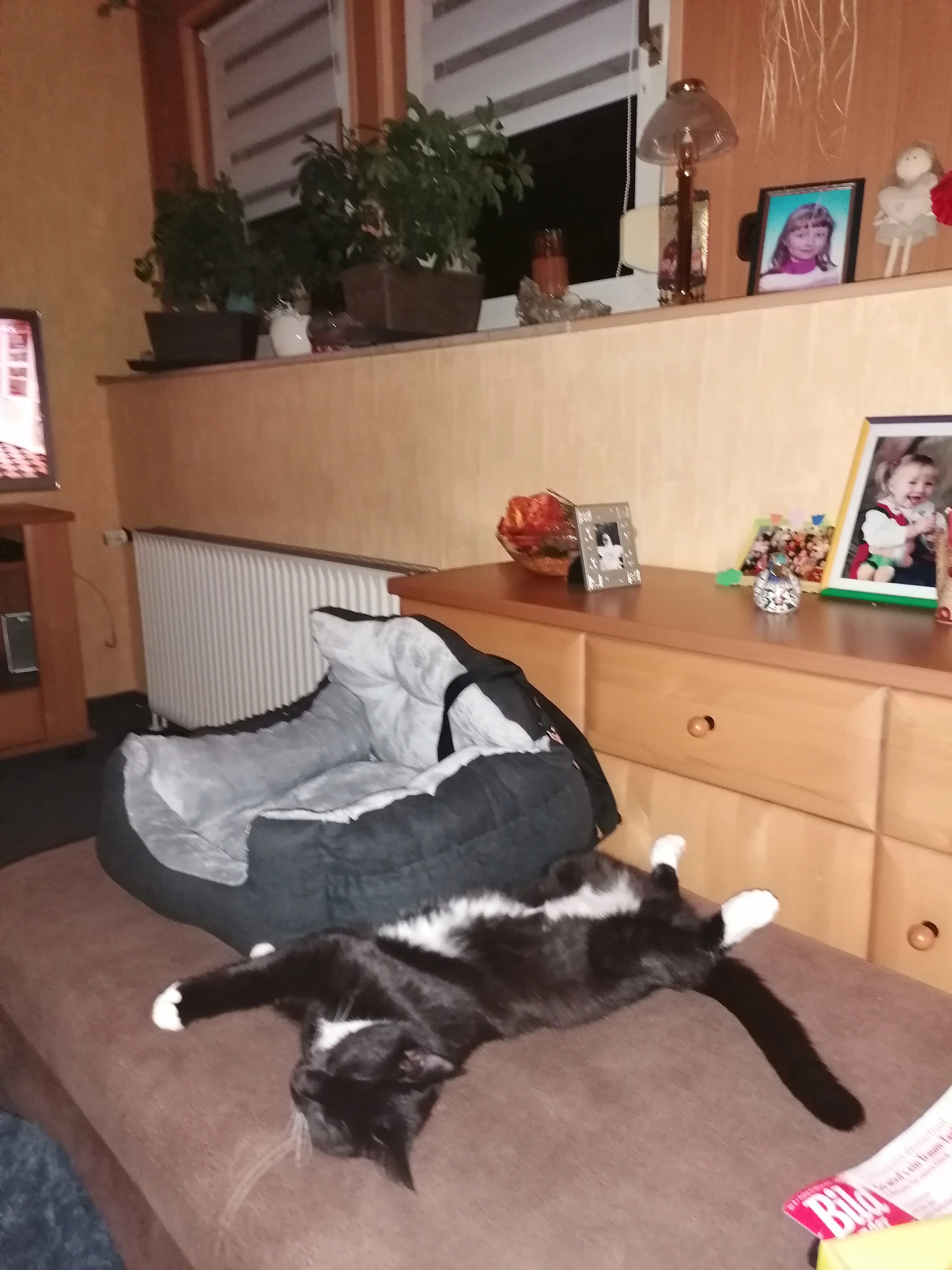 Mausi - Feuerschicht, Stolzenau