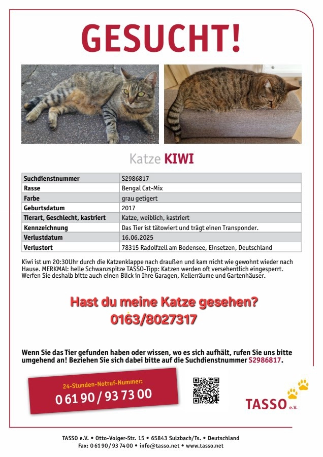 Kiwi - Einsetzen, Radolfzell am Bodensee