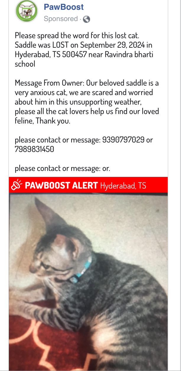 Saddle  - Mallapally Road, Mallepally