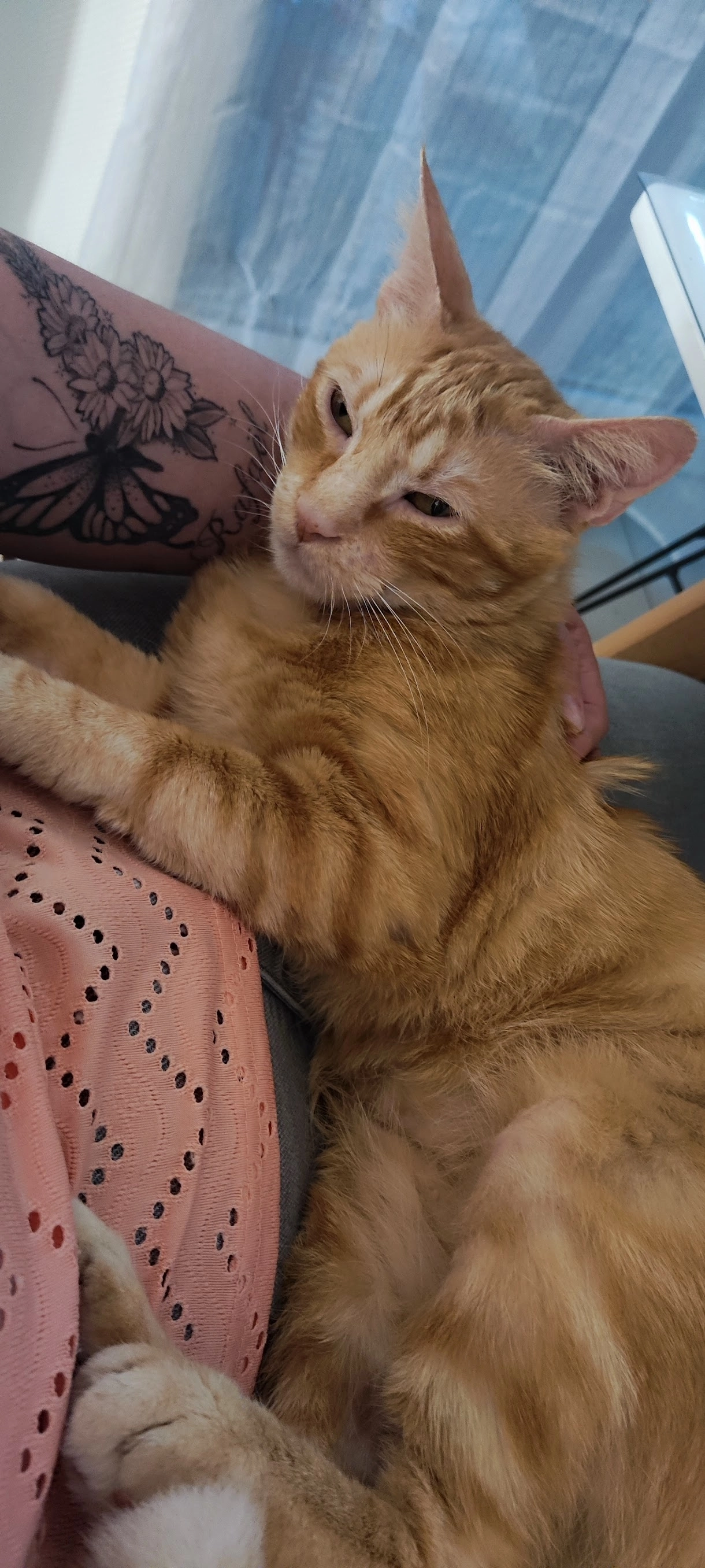 Magik - 379 Rue du Maréchal Lyautey, Fréjus