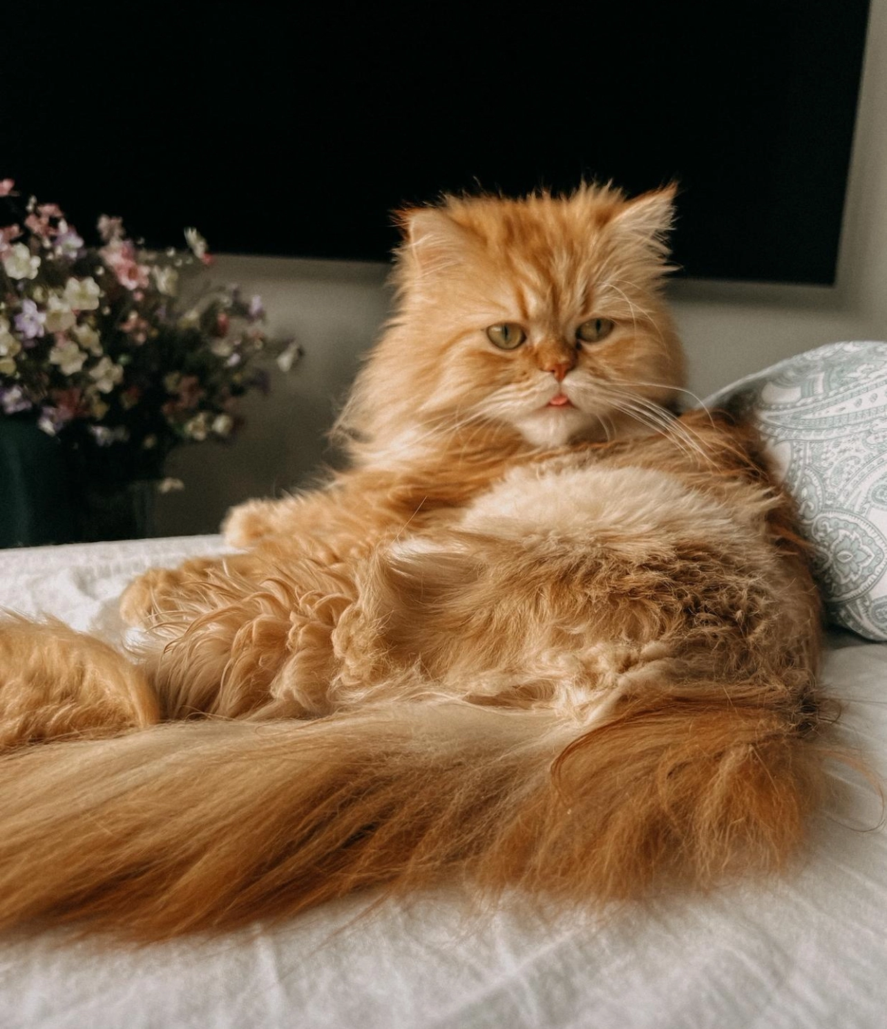 Barney  - Leopold-Kell-Straße, Weißenfels