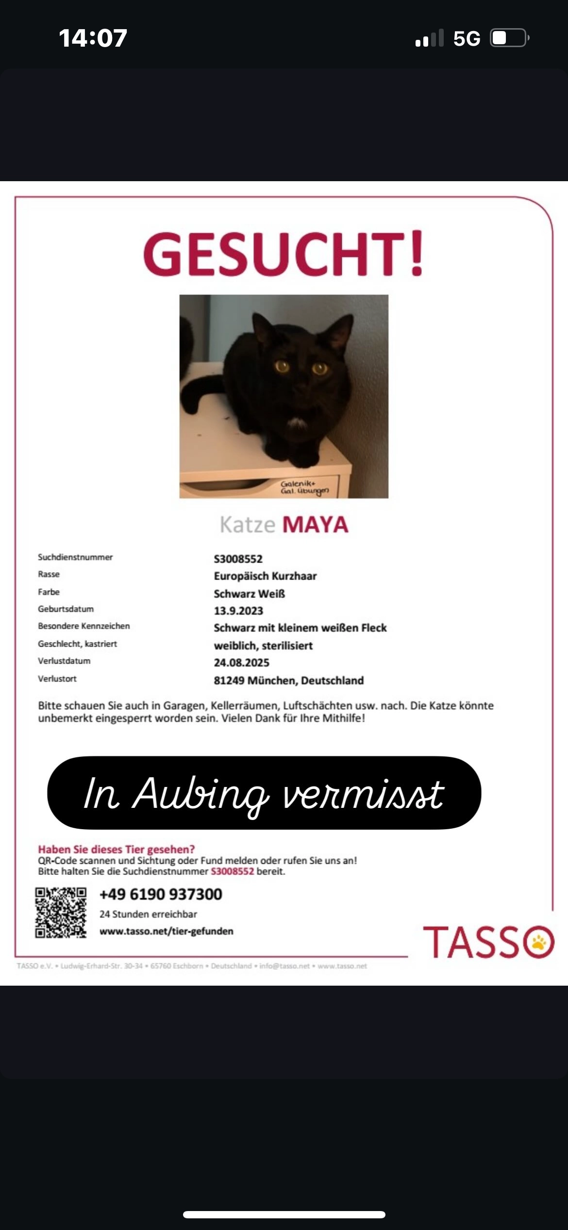 Maya - Kunreuthstraße, München