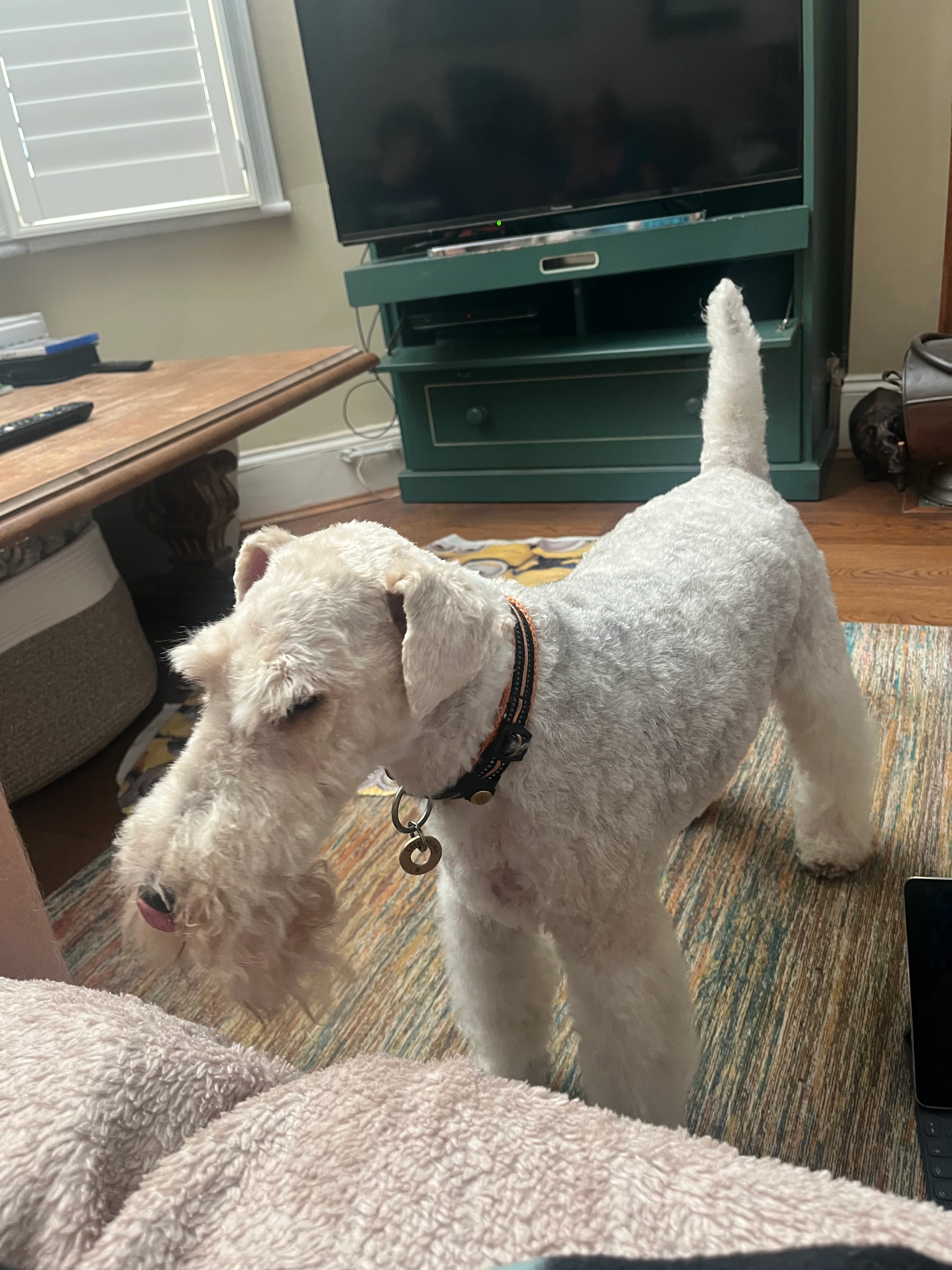 Sid - Dyer's Lane, London