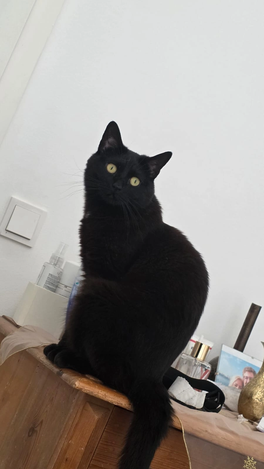 Shakira - Von-Rehlingen-Straße, Neusäß