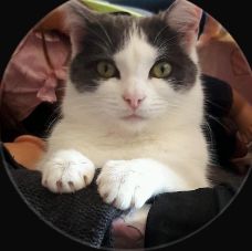 Krümmel - Schweriner Straße, Lüchow