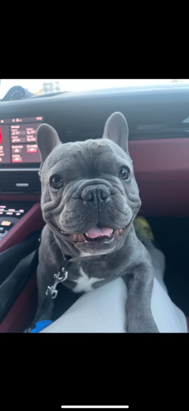 Zeus - 574 Norman Way, Woodmere
