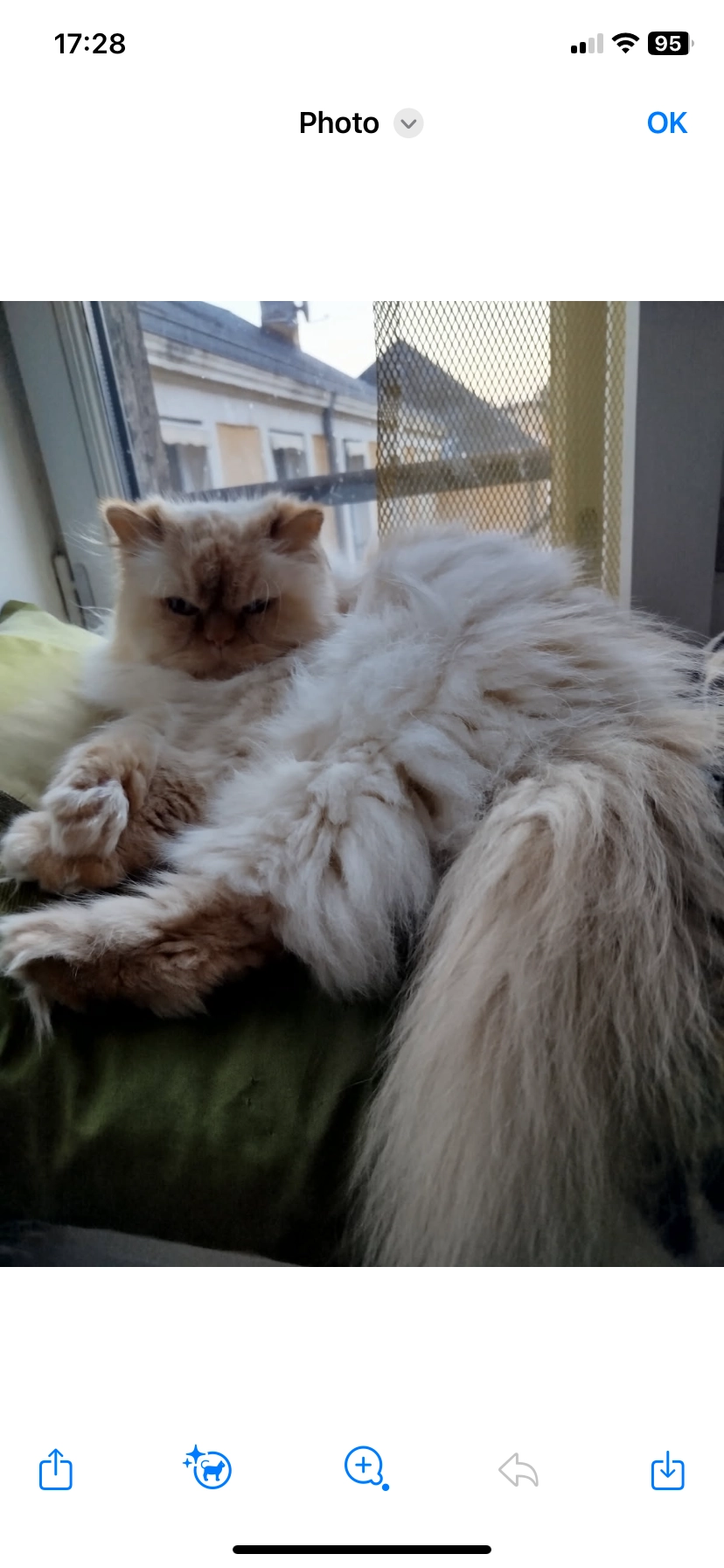 Gepetto - 32 Avenue de l'Orangerie, Saint-Avertin