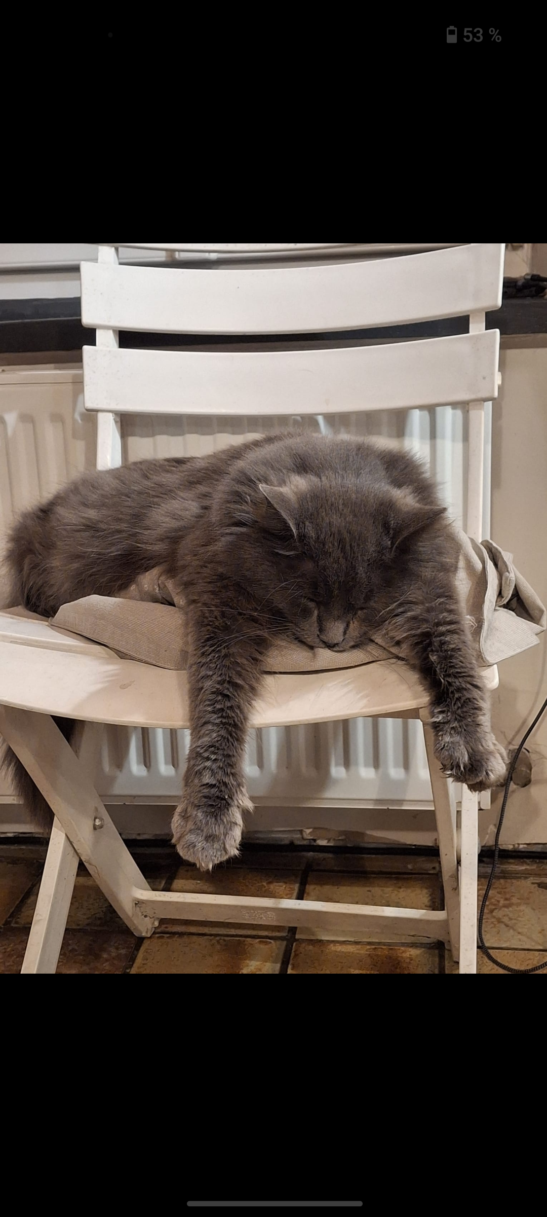 Sig - D 535, Saint-Sauveur-Villages