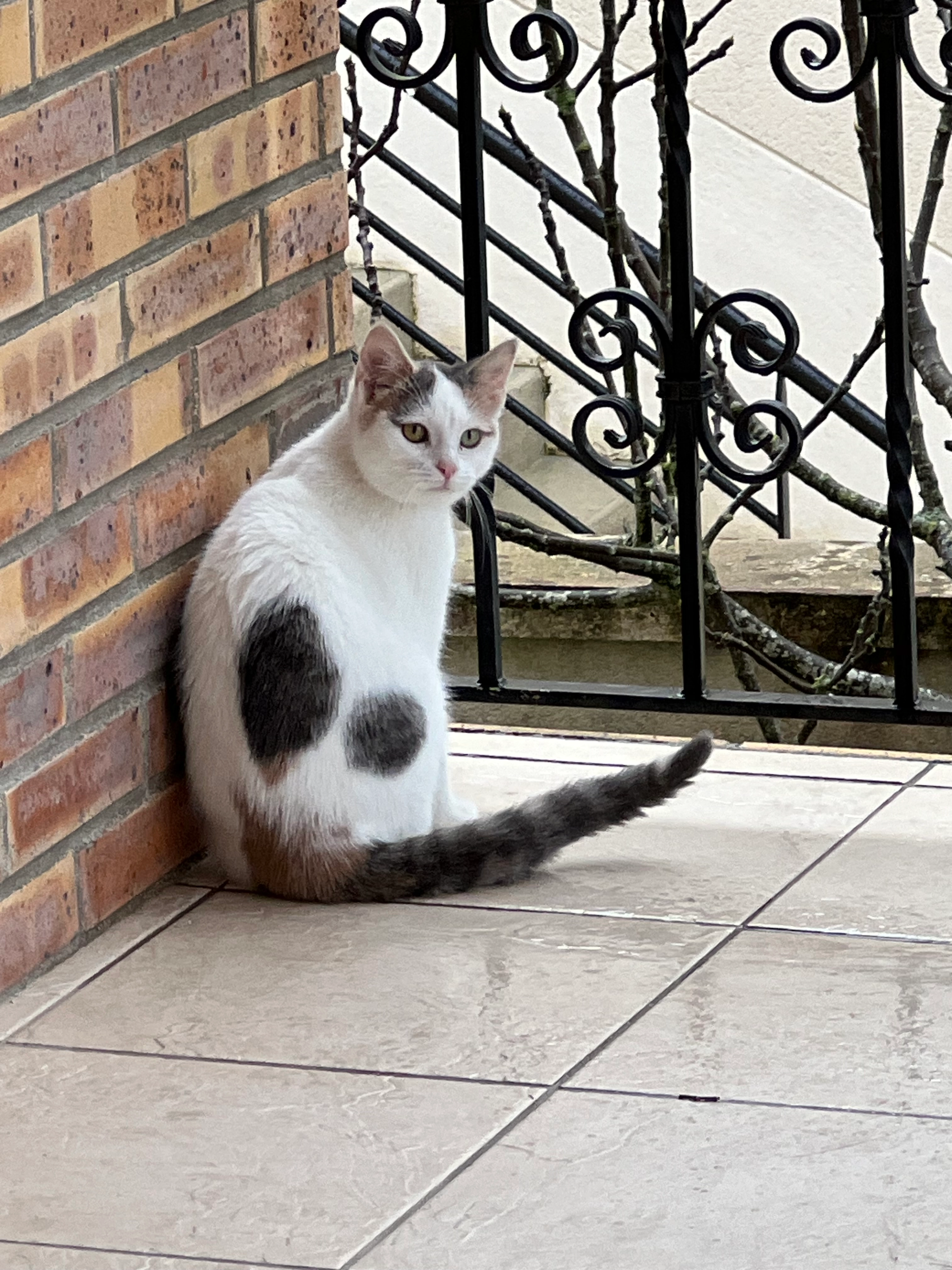 Hevi - Rue Du Maine, Épernay